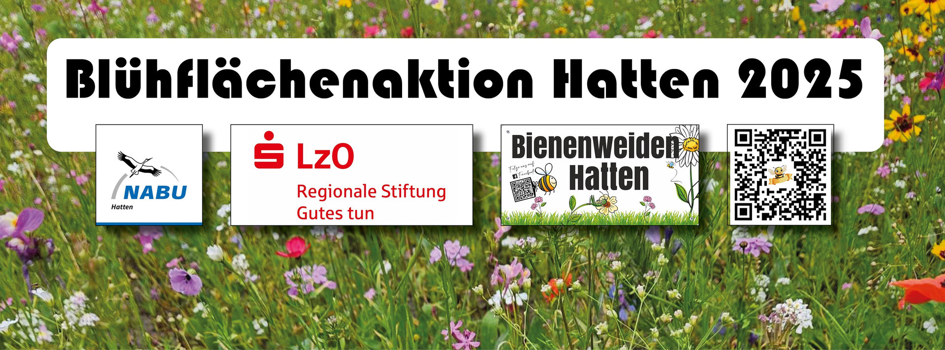 steinklee saatgut kaufen Gelber Steinklee-Samen  LaCaTho GmbH