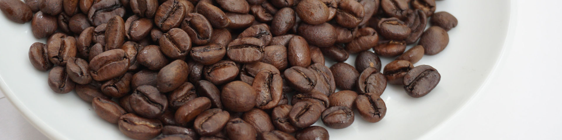 Wholesale for Business 業務用コーヒー豆卸販売 - LANDMADE 【8714