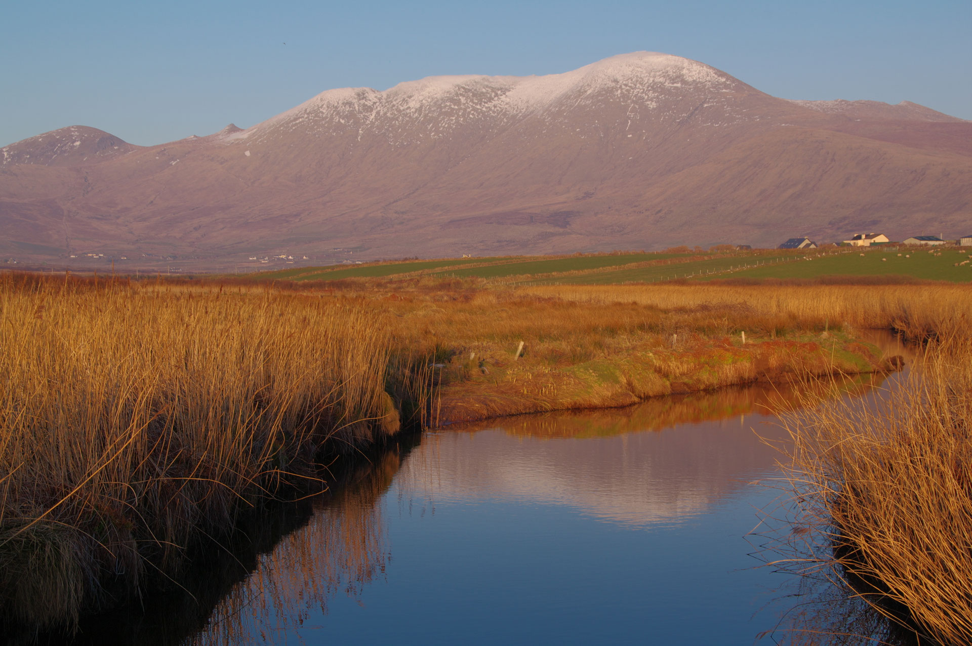アイルランド旅行 ブランドン山登山 ディングル半島 - Tokyo School of Irish Music (Fiddle/Violin/Tin  Whistle etc), image size:1920x1276