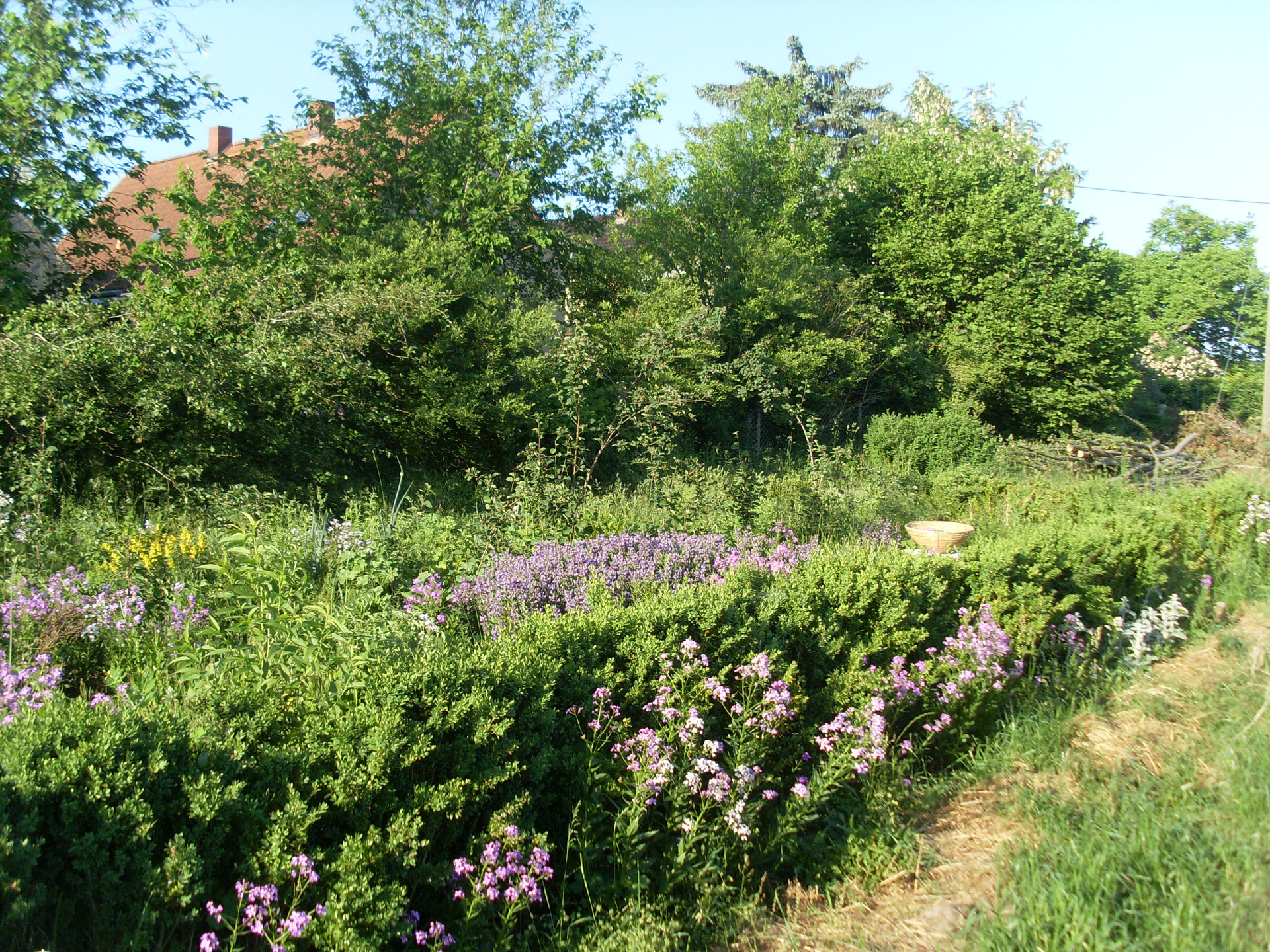 Blütenreich's Essbarer Waldgarten Blütenreich Leipzig Gärten der Sinne