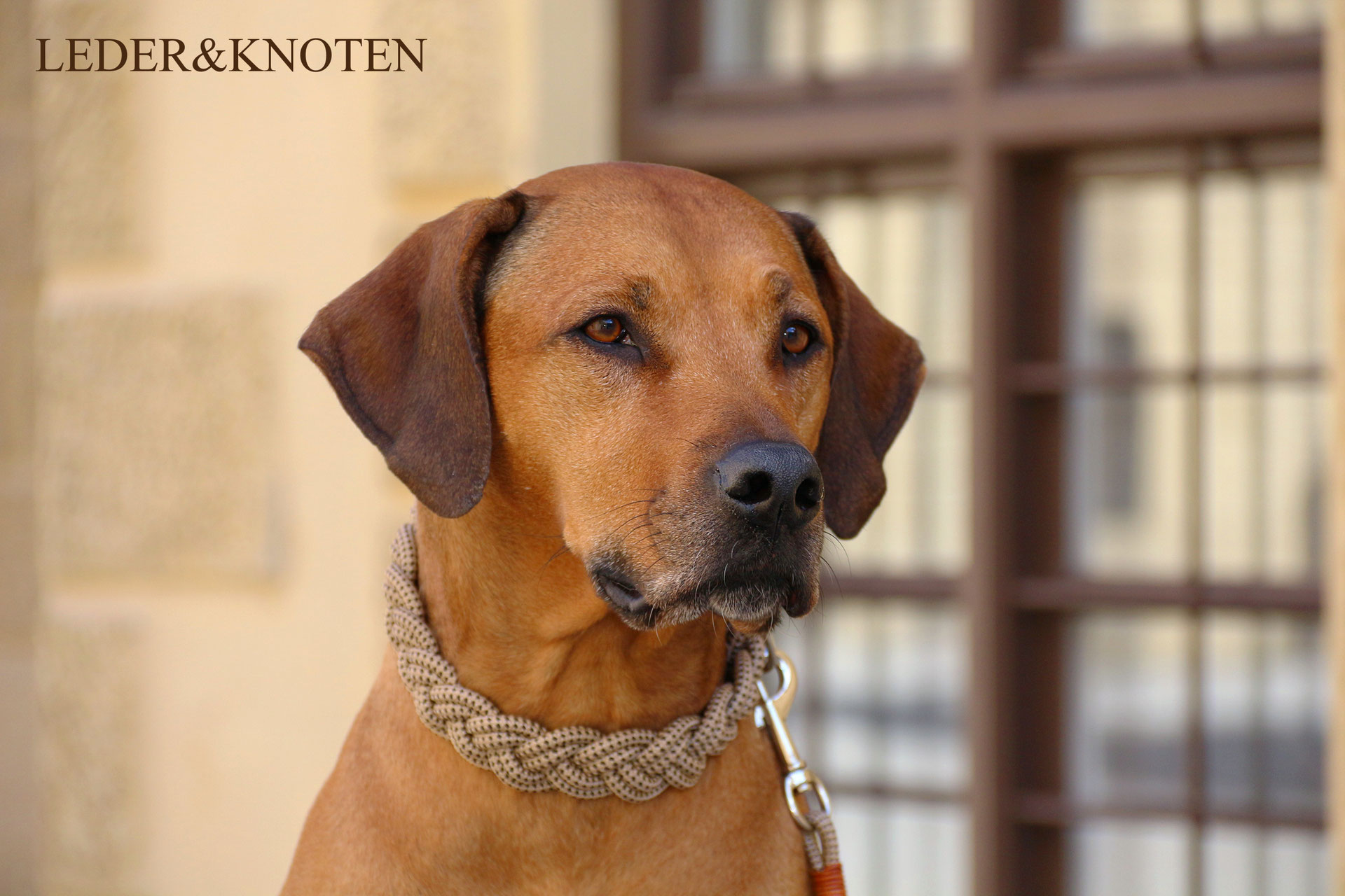 Geflochtene Halsbnder - LEDER & KNOTEN exklusive Hundehalsbnder -  individueller Lederschmuck - Kropfbnderrk