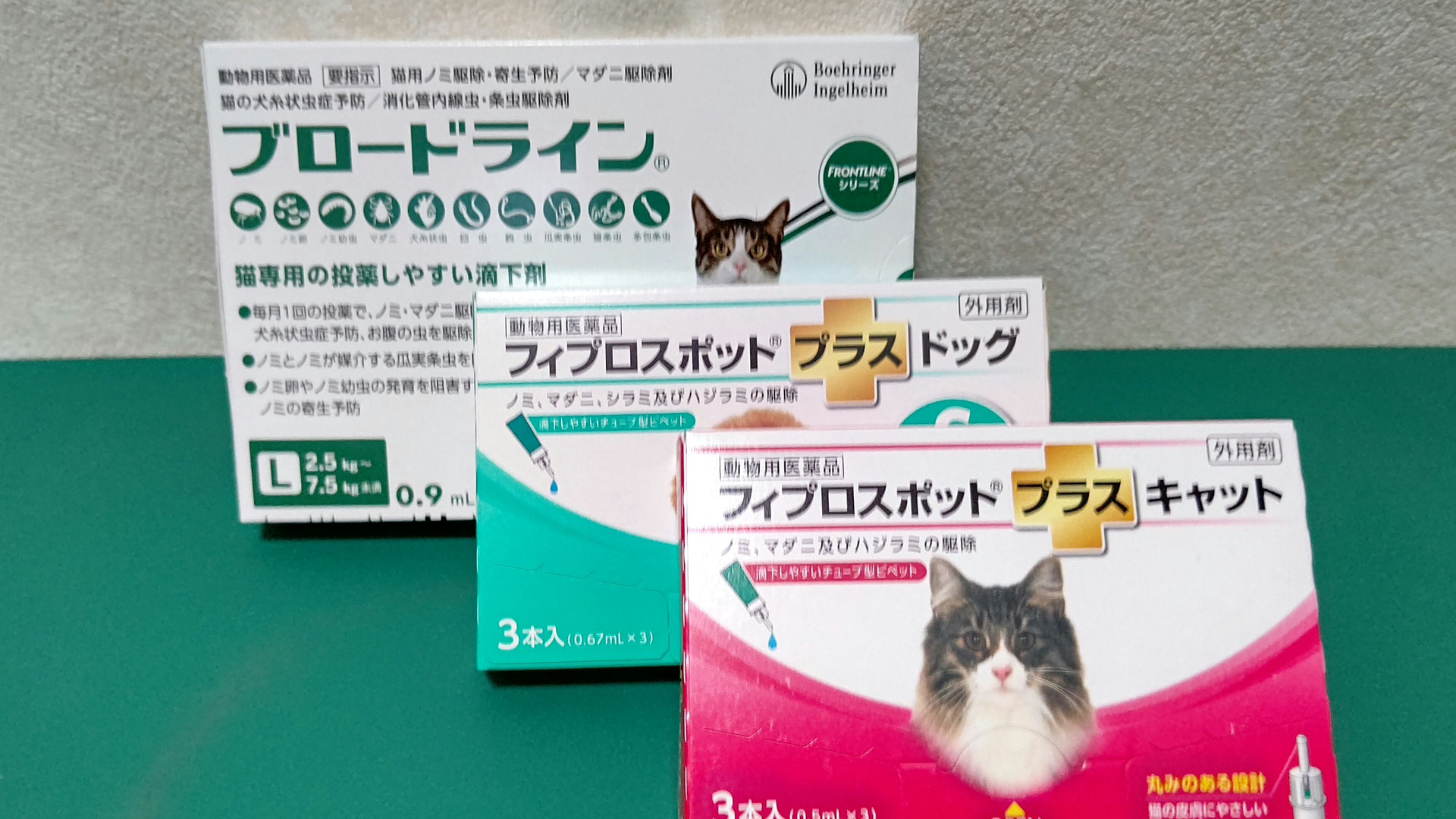 激安特価 猫用フィプロスポットプラスキャット クリニックパック 24本 24ピペット 動物用医薬品 激安特価 猫用フィプロスポットプラスキャット クリニックパック 24本 24ピペット 動物用医薬品