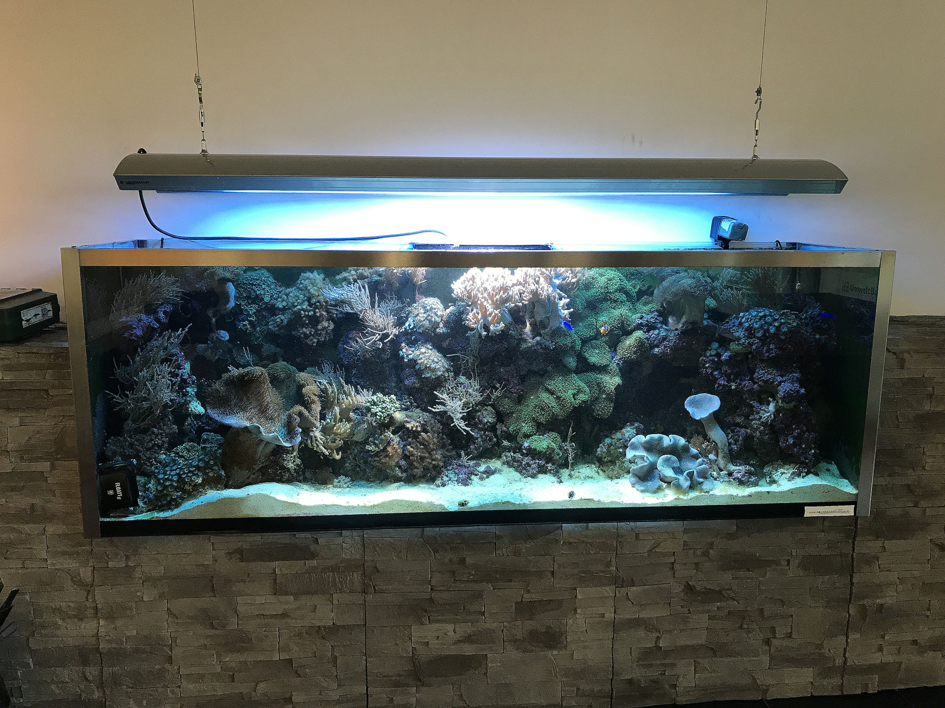 Von HQI zu LED Meerwasser AquaServiceHopf