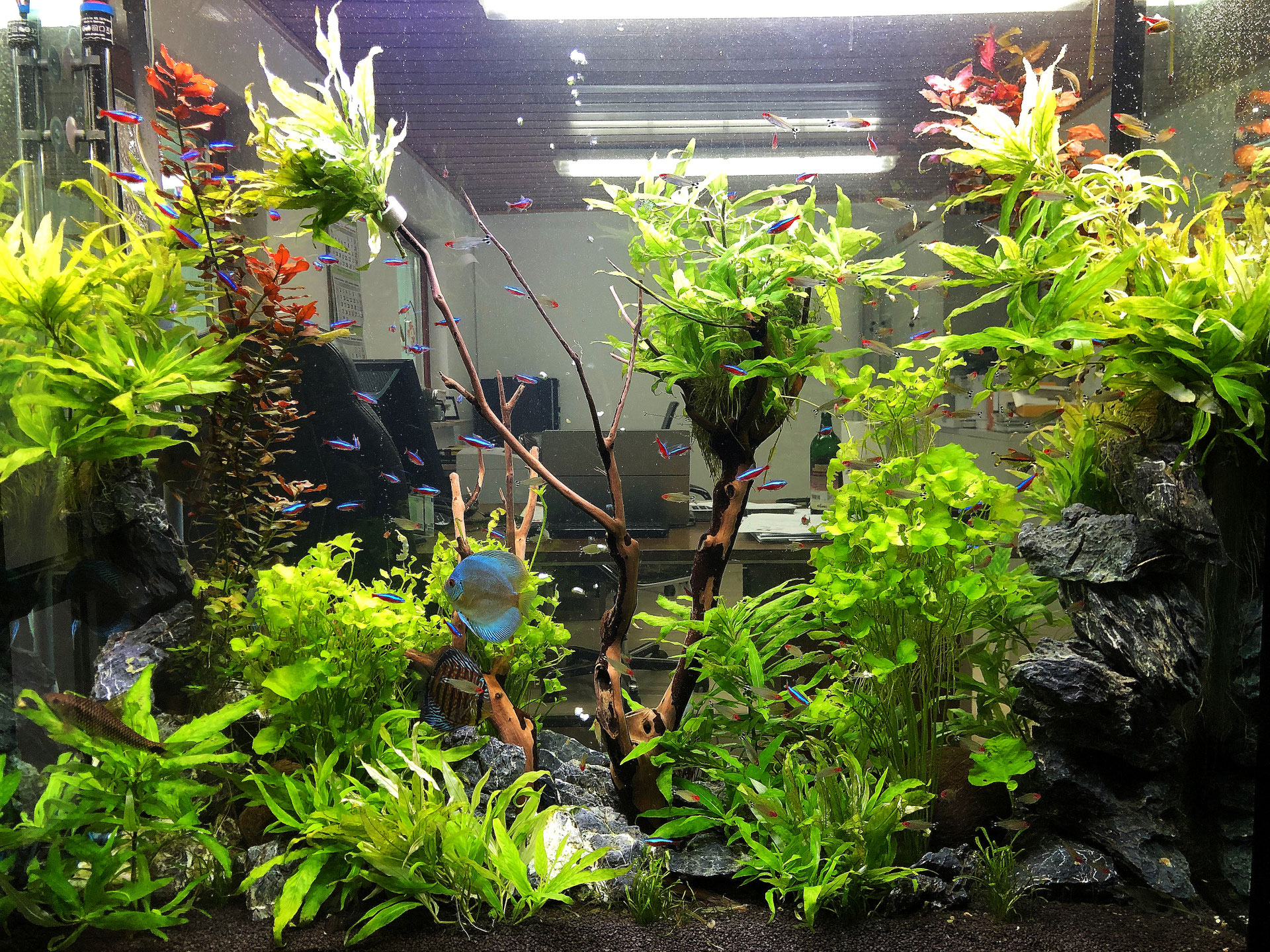 Raumteilerbeispiele - Aqua-Service-Hopf