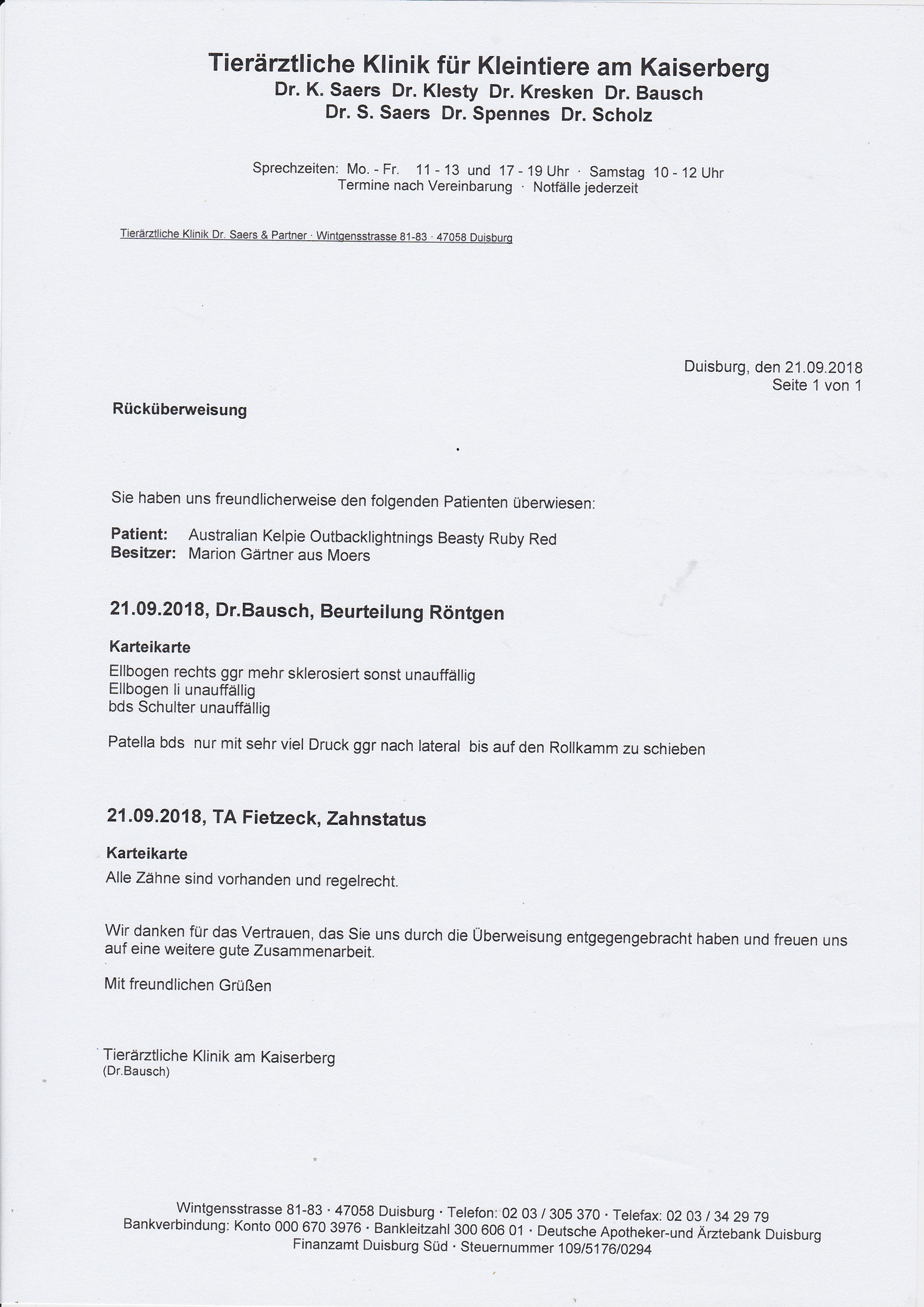 Gesundheit Outbacklightnings beasty Ruby Red Kelpie vom Vluyner Kennel