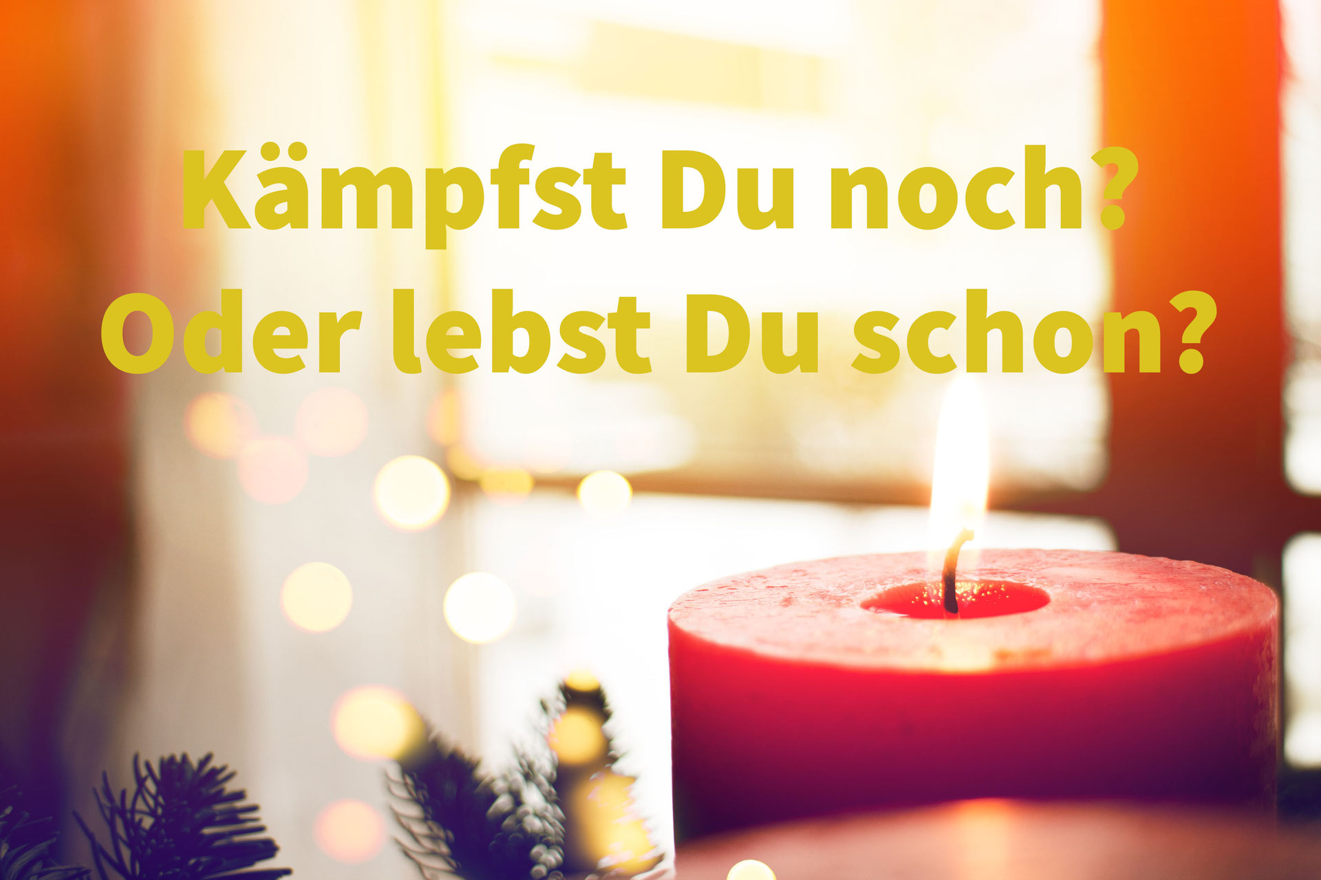 Denkst Du Noch Oder Lebst Du Schon www.susannebehrendt.de