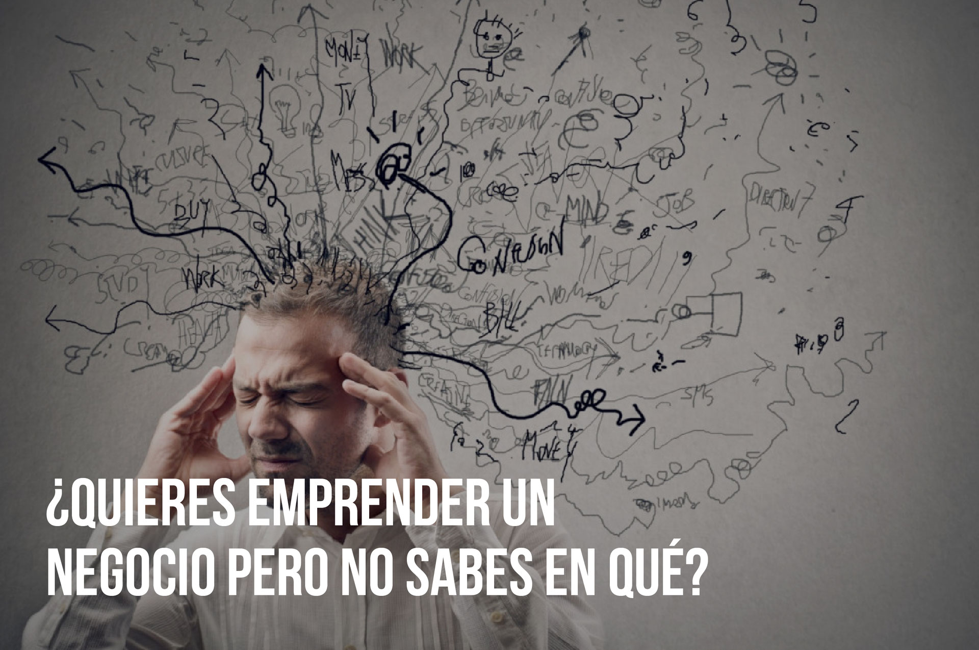 ¿Quieres emprender un negocio, pero no sabes en qué? Emprendedores