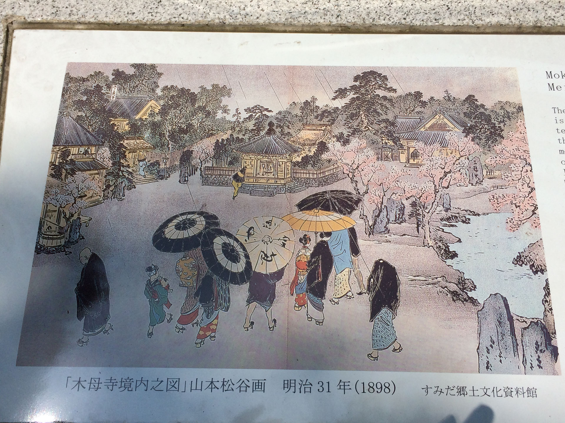 「向島」あれこれ