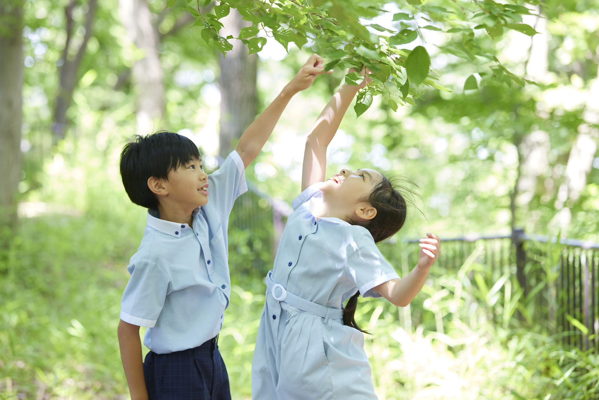 桐蔭学園小学校 東急線 小田急線沿線 私立小学校合同相談会 公式サイト 東急線 小田急線沿線 私立小学校合同相談会 公式サイト