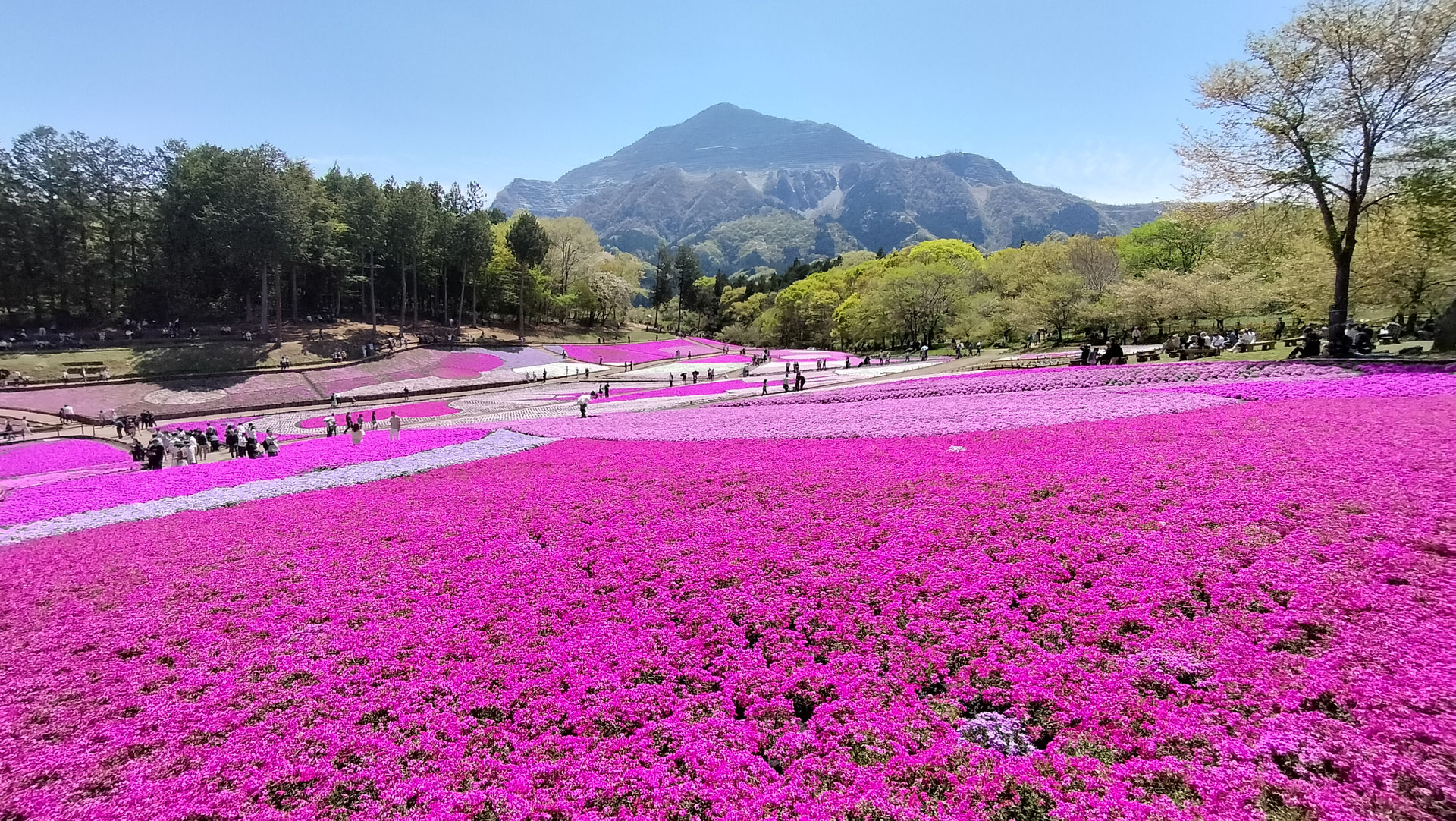 魂の進化とハートの癒しを学ぶ