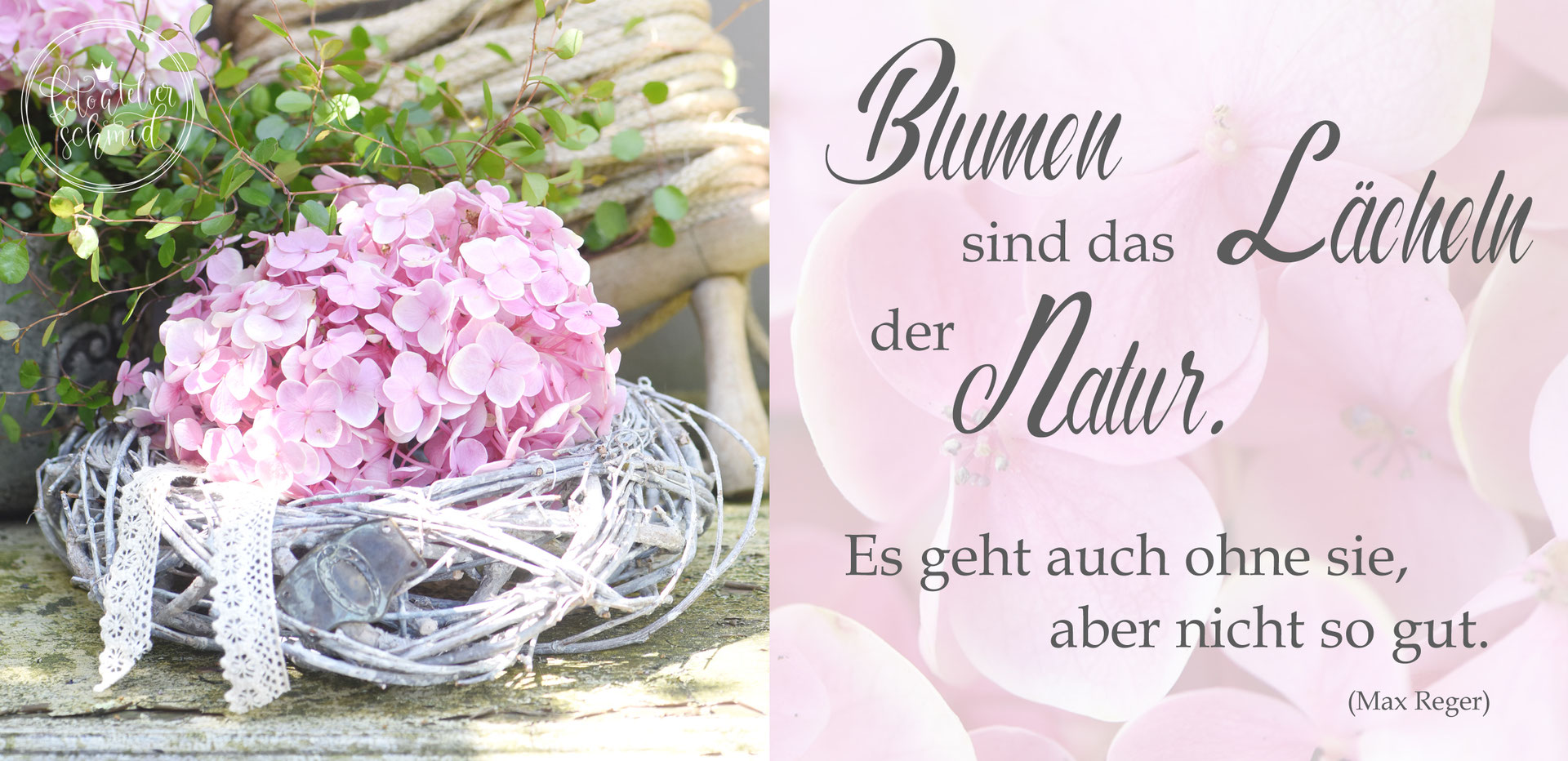 Blumen Sind Das Lacheln Der Natur Foto Atelier Schmid