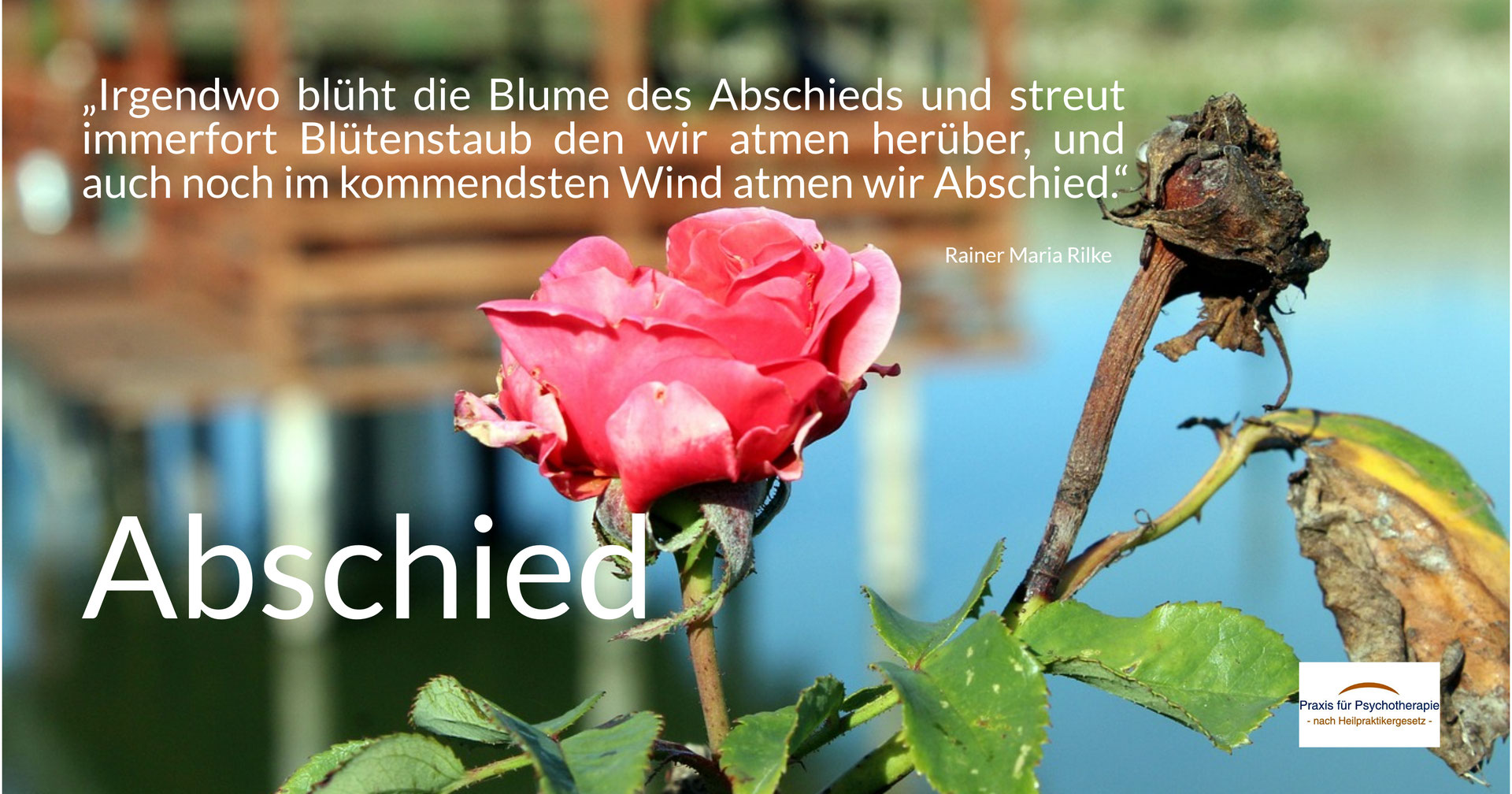 Spruchbild 128 Abschied Barbara Schlemmer, DiplomPsychologin