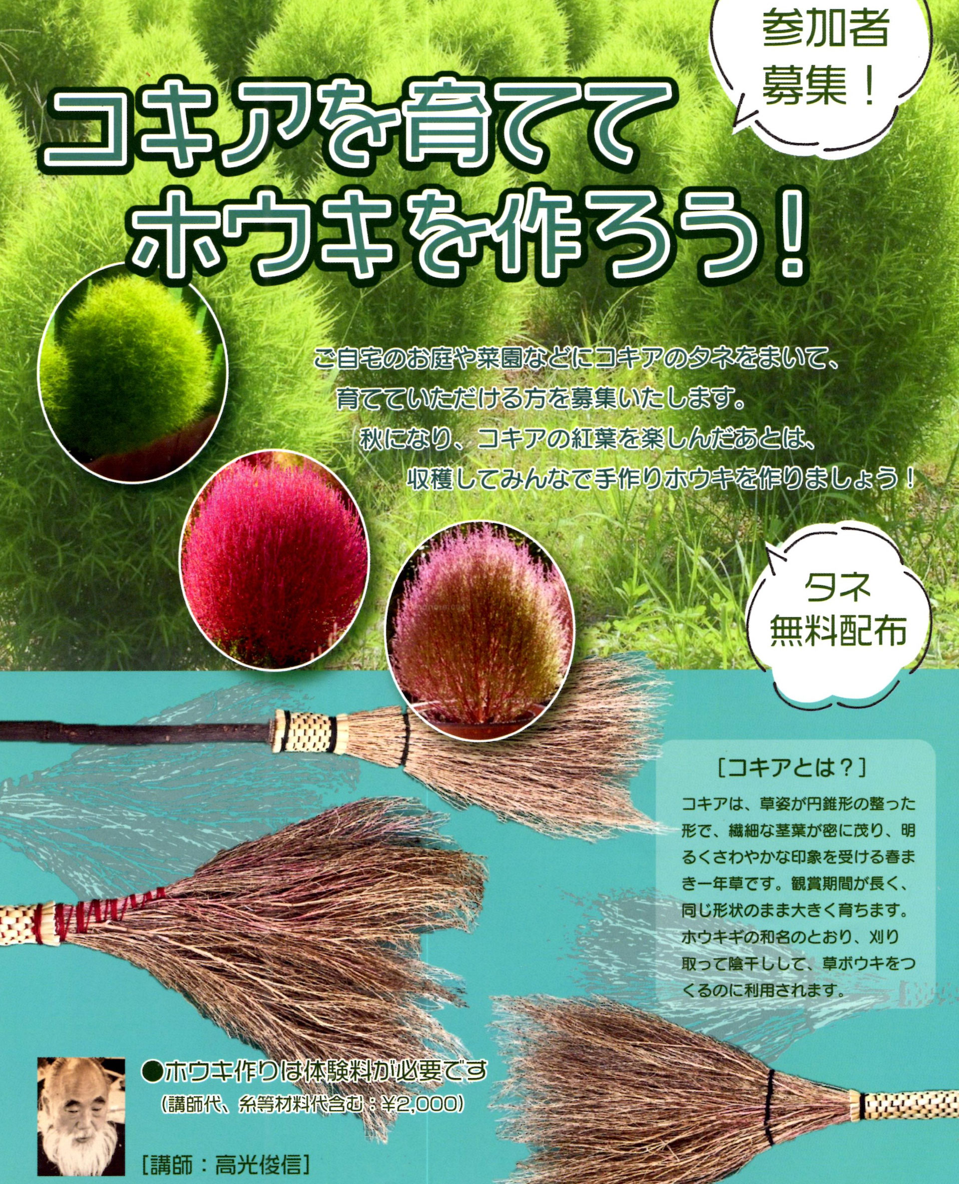 コキアを育てましょう ａｓｏものづくりネットワーク