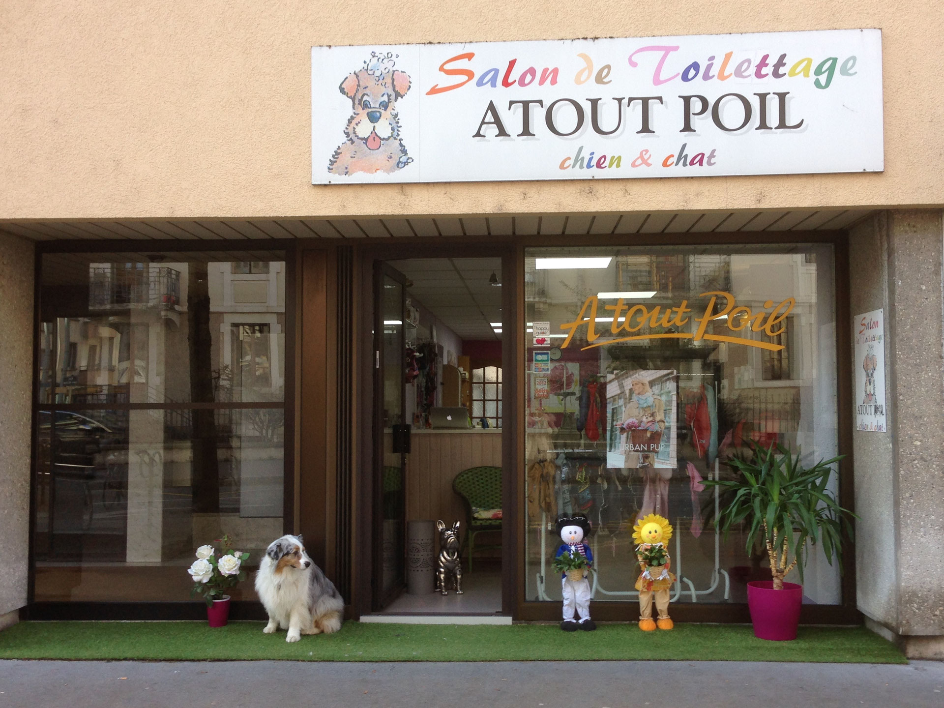 Atout poil Atout poil