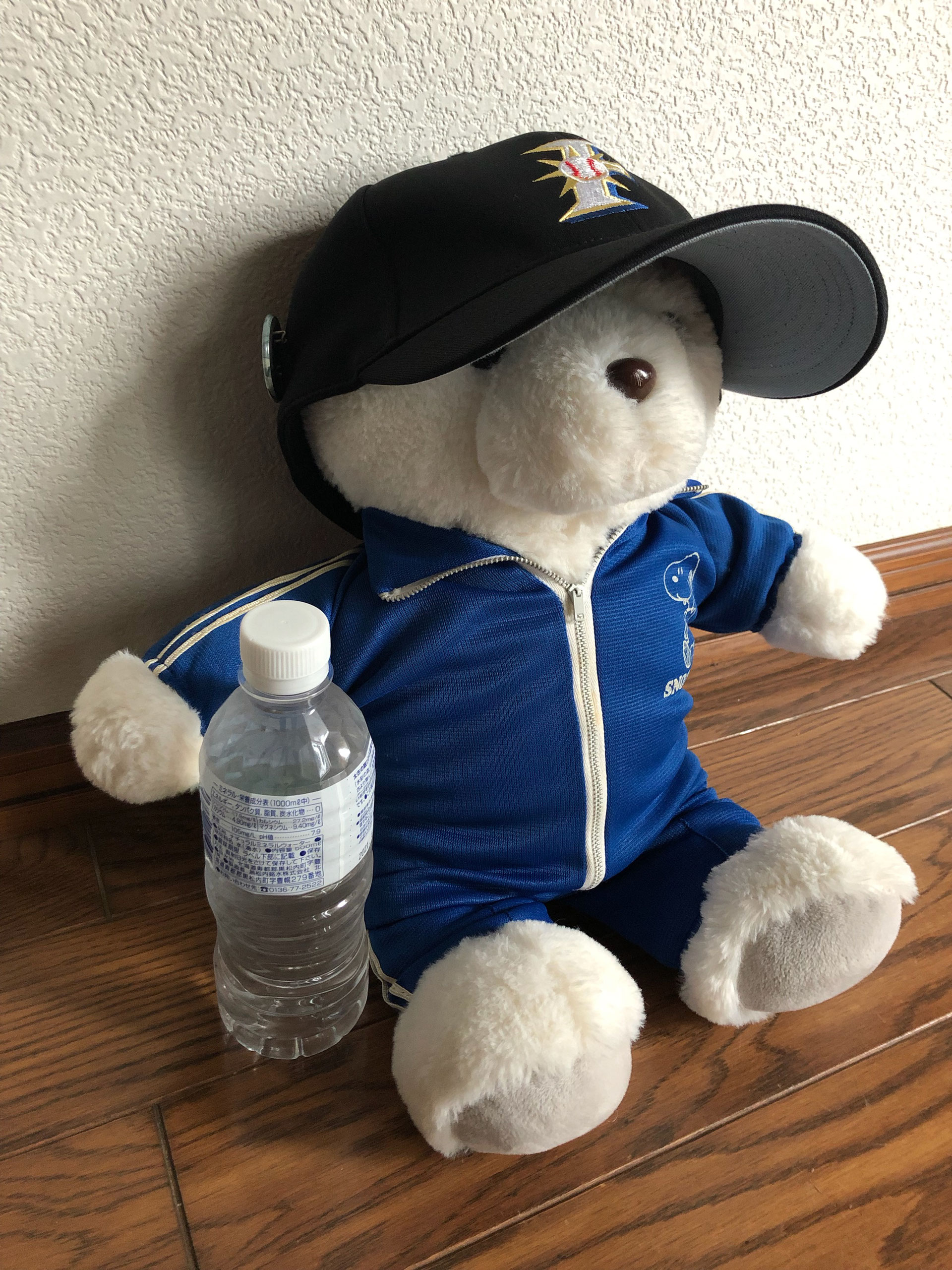 輪厚国際パークゴルフ場