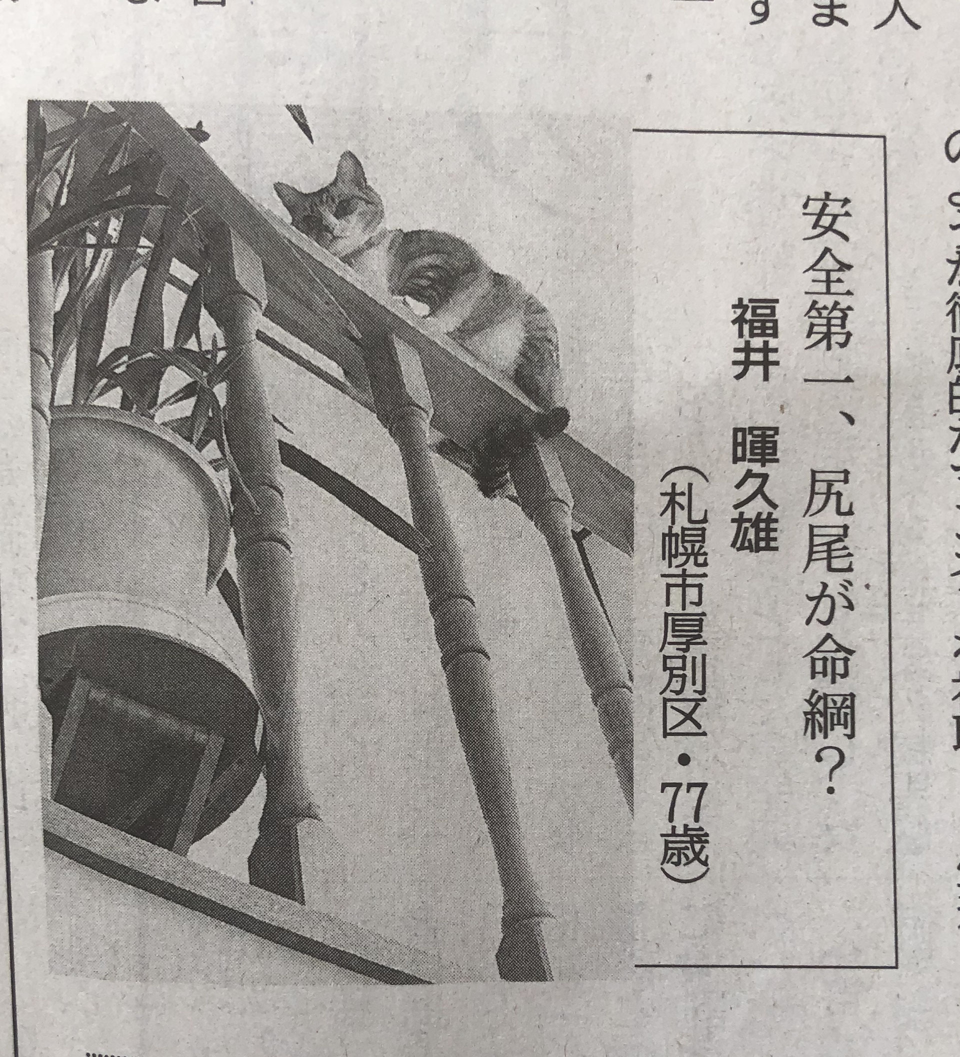 輪厚国際パークゴルフ場