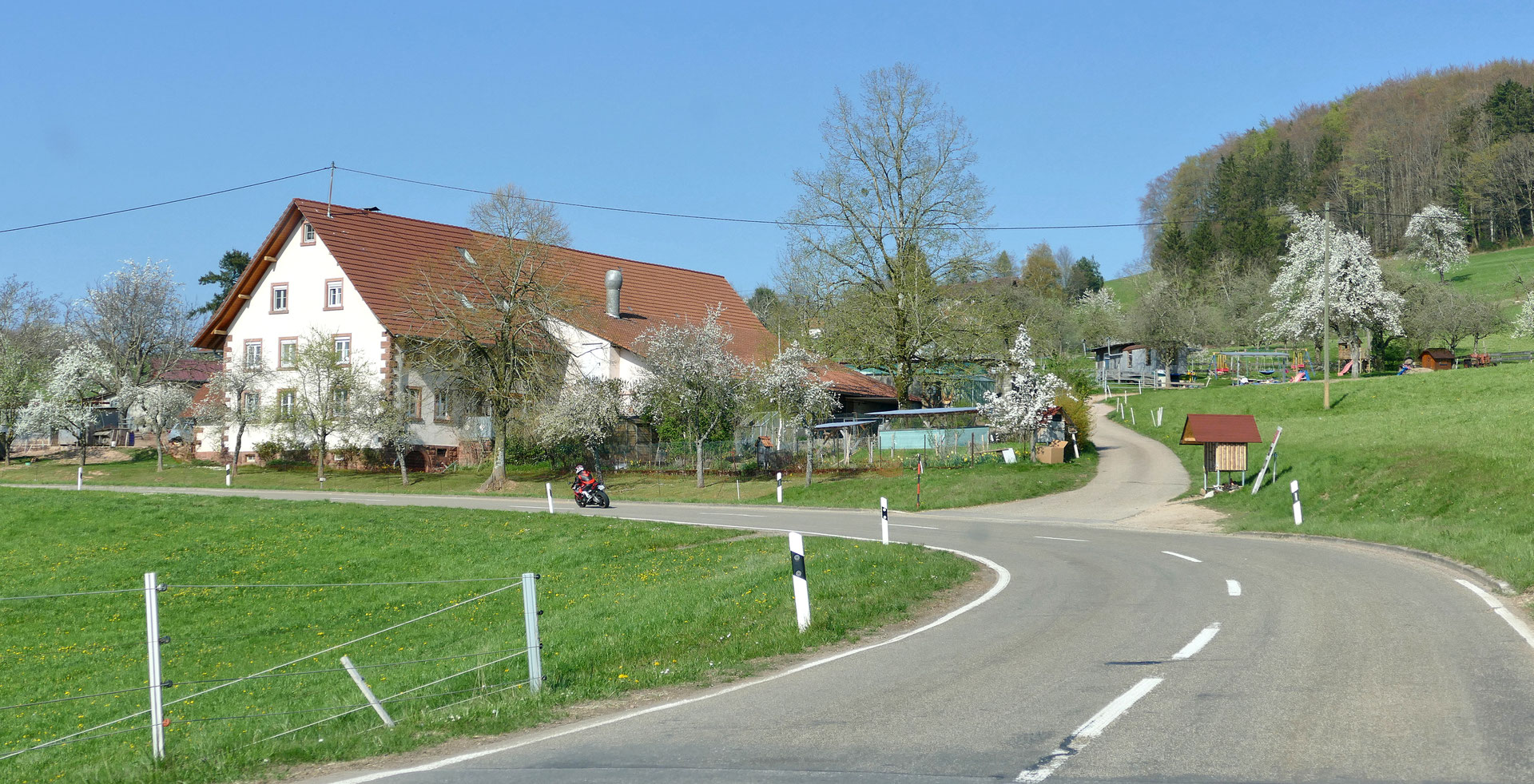 2020 Heimat Mittlerer Schwarzwald
