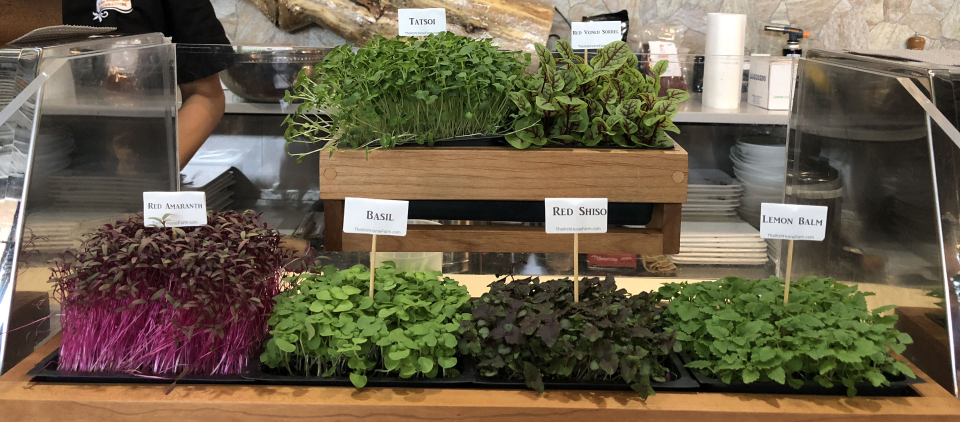 MicroGreens The Irish Home Farm A backyard garden/nursery in Denver