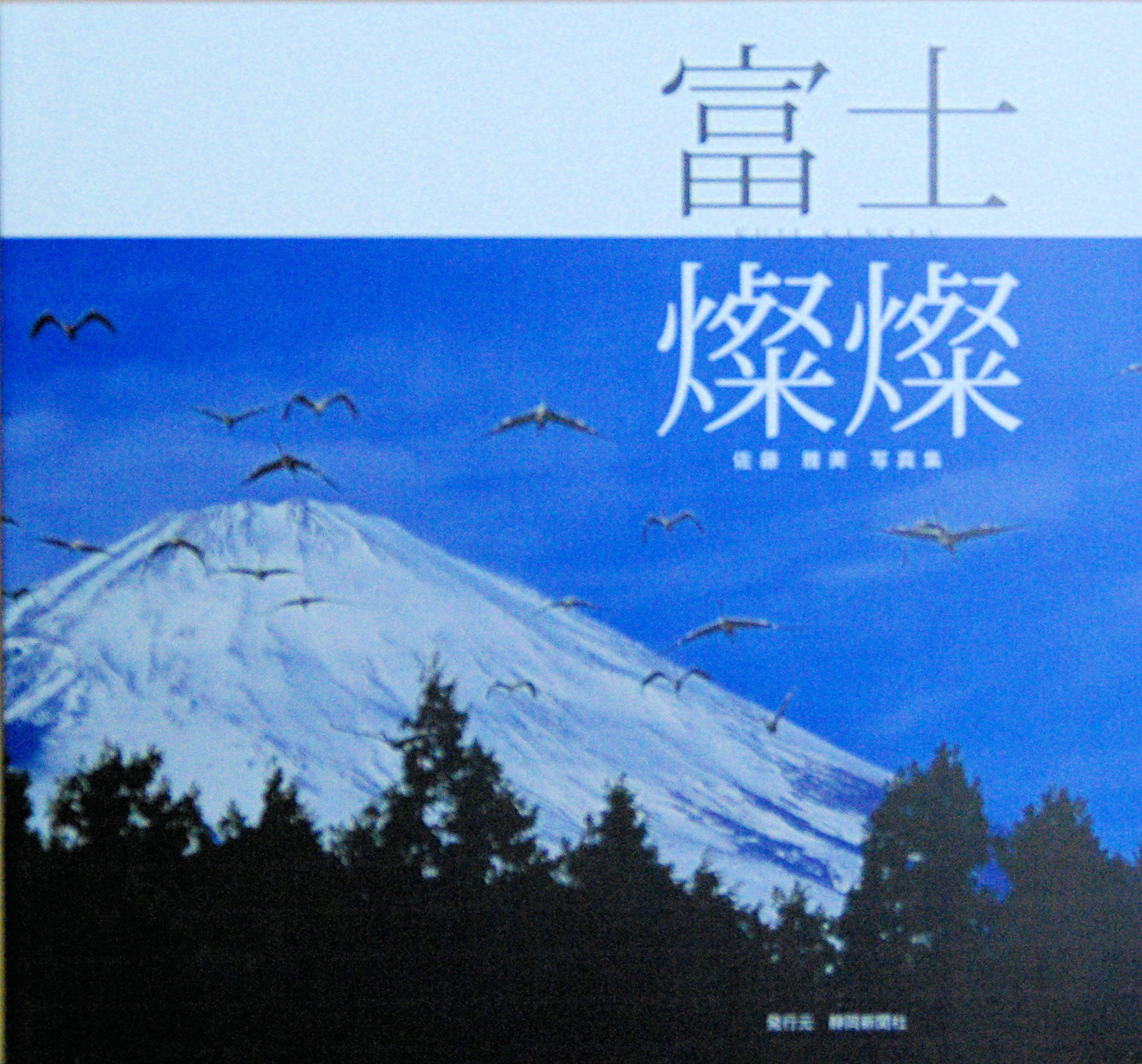 佐藤和喜画伯富士山 □「地球の歩き方 J24 静岡」 出版：（株）Gakken - 佐藤雅美