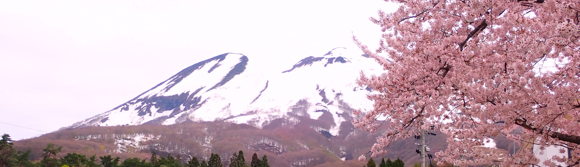 山スキー Carving Junkie [Rider Toa] Makyo Hunter Mountain 
