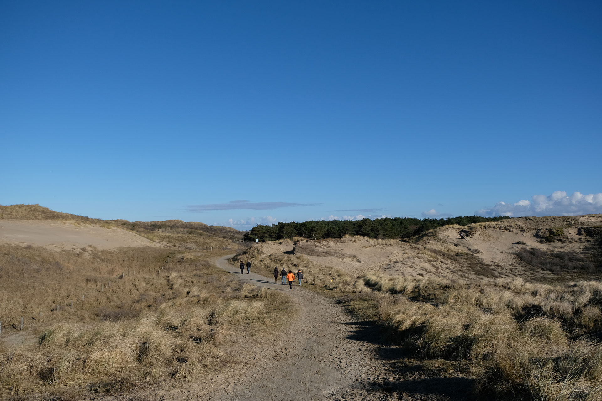 Die Dünen von Wassenaar Scheveningen Strand