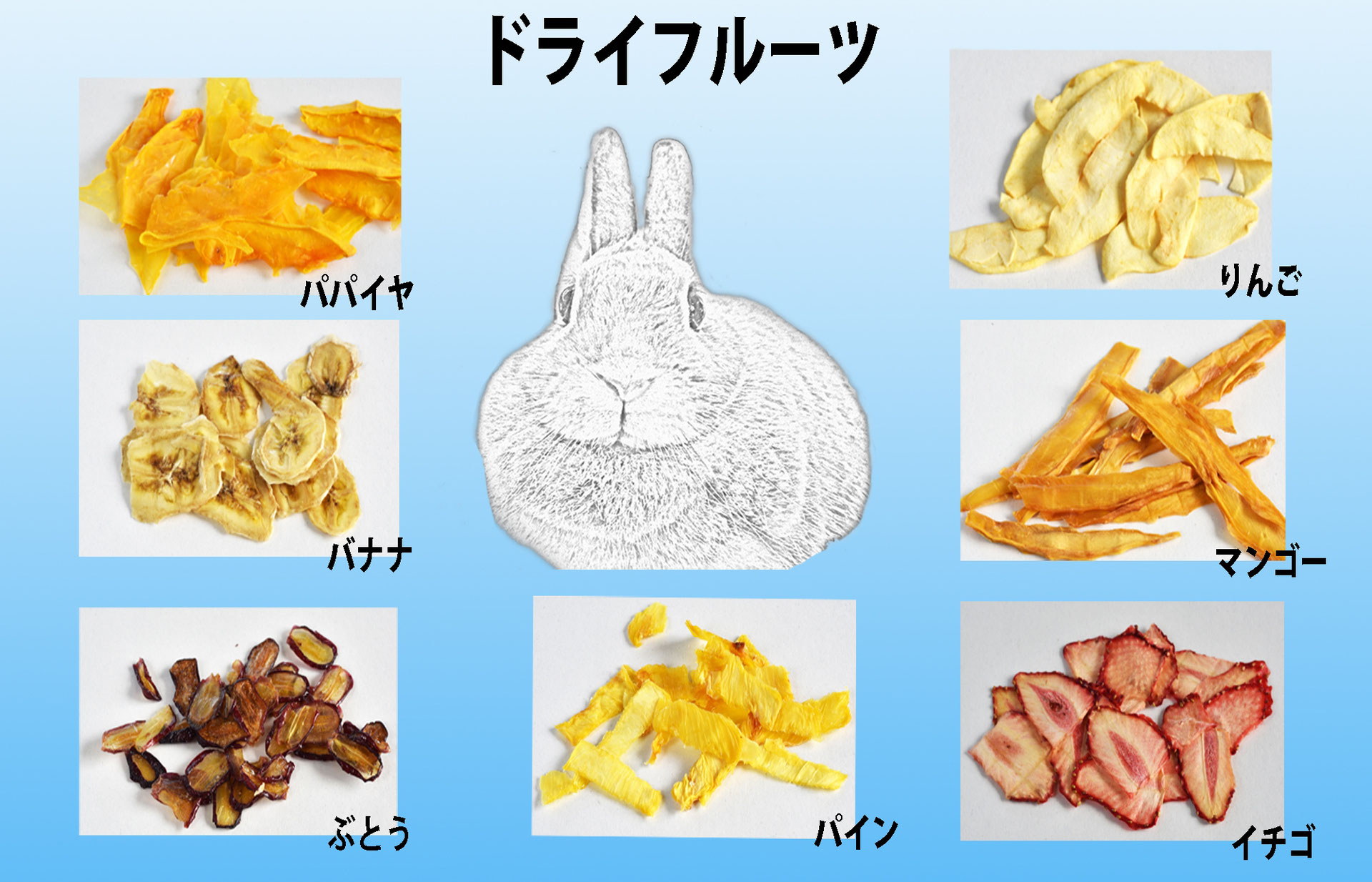 うさぎちゃん用の無添加ドライフルーツ うさぎのリゾート Otomari 二子玉川 うさぎちゃん用の無添加ドライフルーツ うさぎのリゾート Otomari 二子玉川