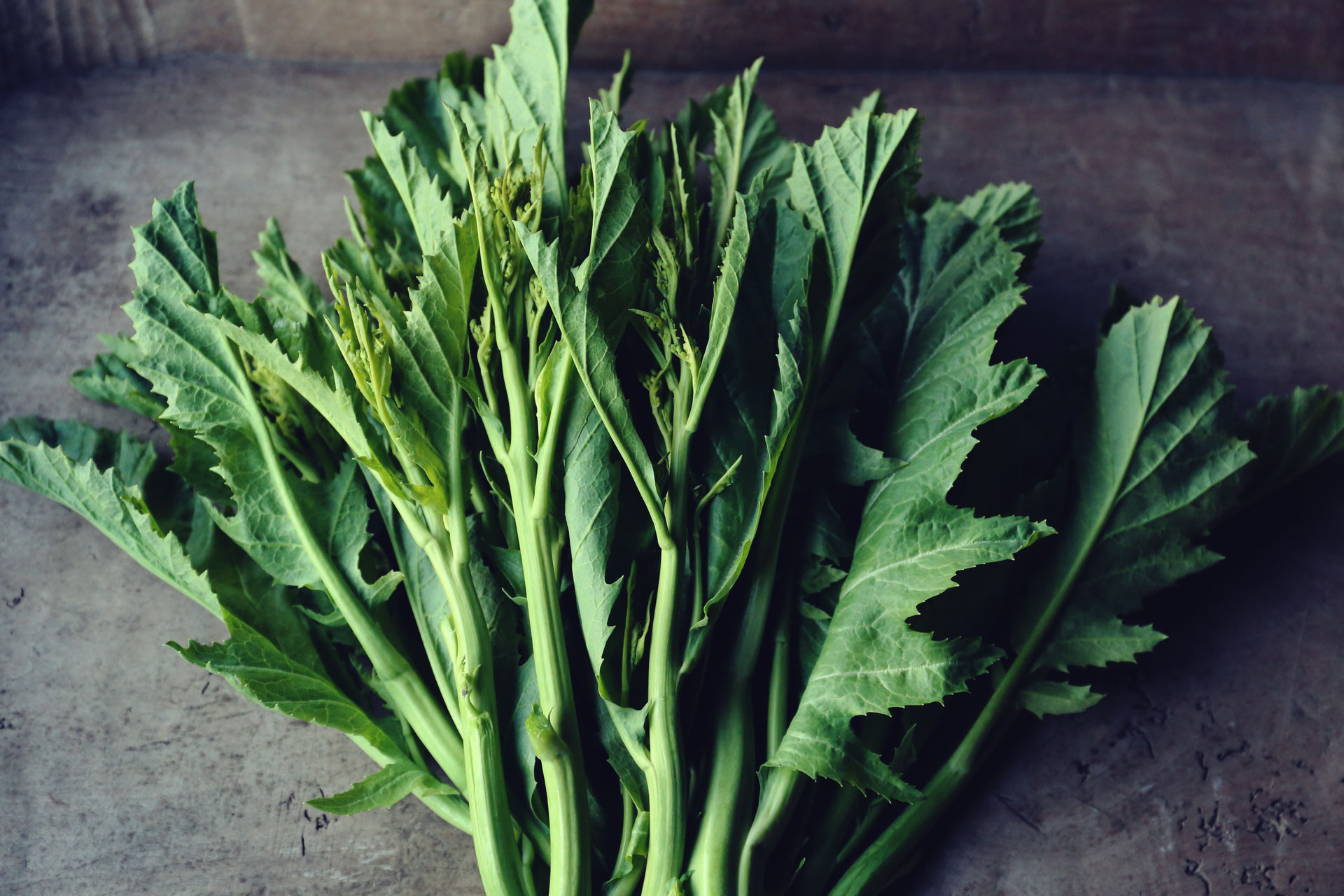 搾菜 ザーサイ の菜の花 千葉県柏市yoshino Herb Farm