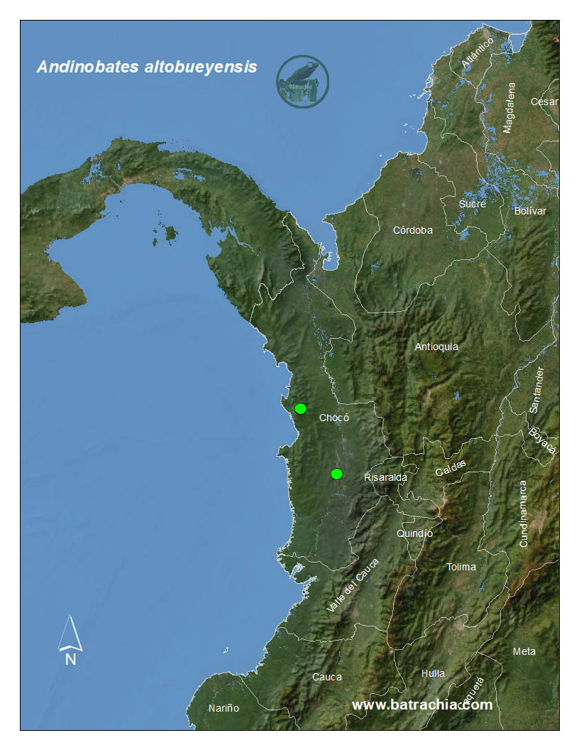 Andinobates altobueyensis Lista de Los Anfibios de Colombia