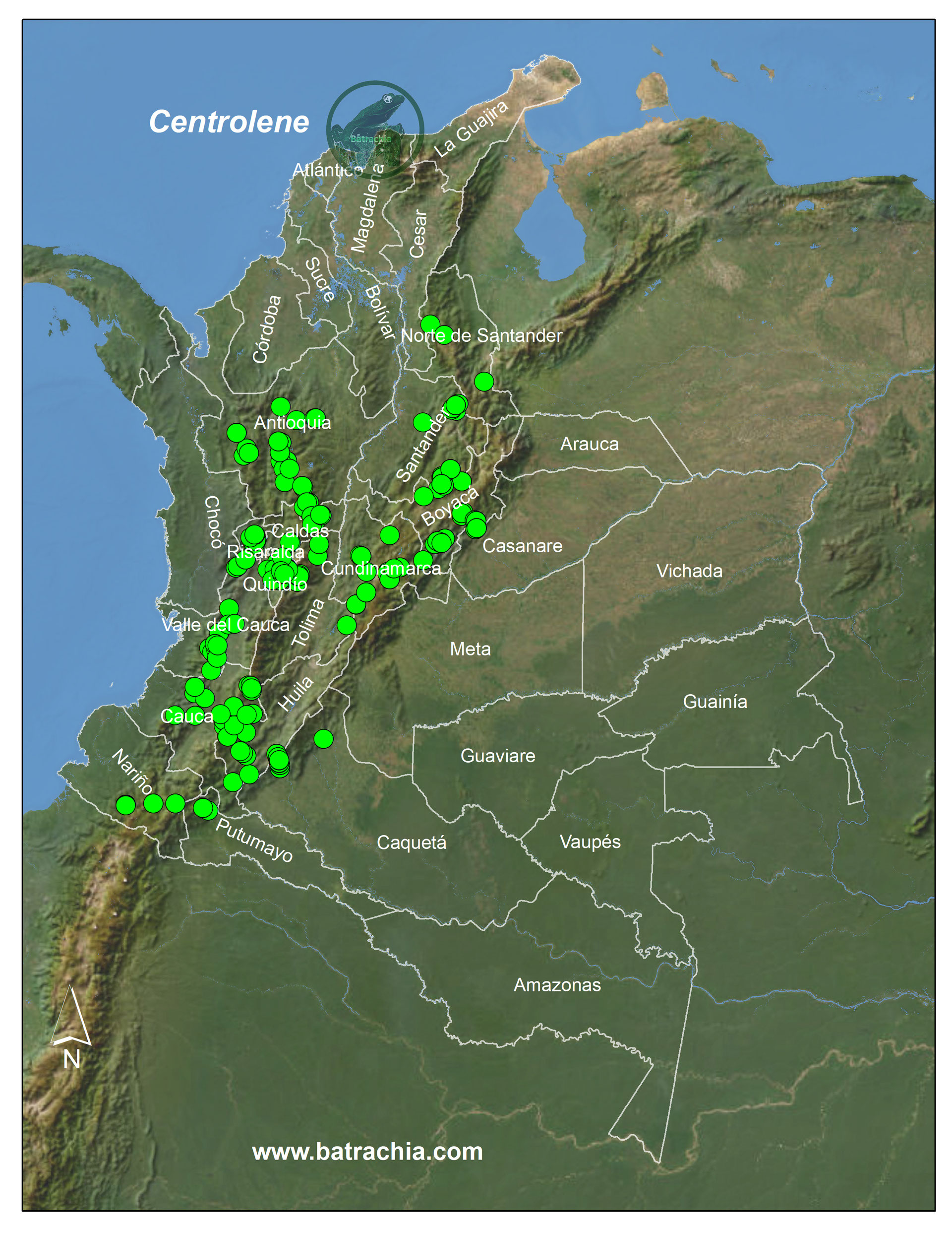 Centrolene (20 spp.) Lista de Los Anfibios de Colombia