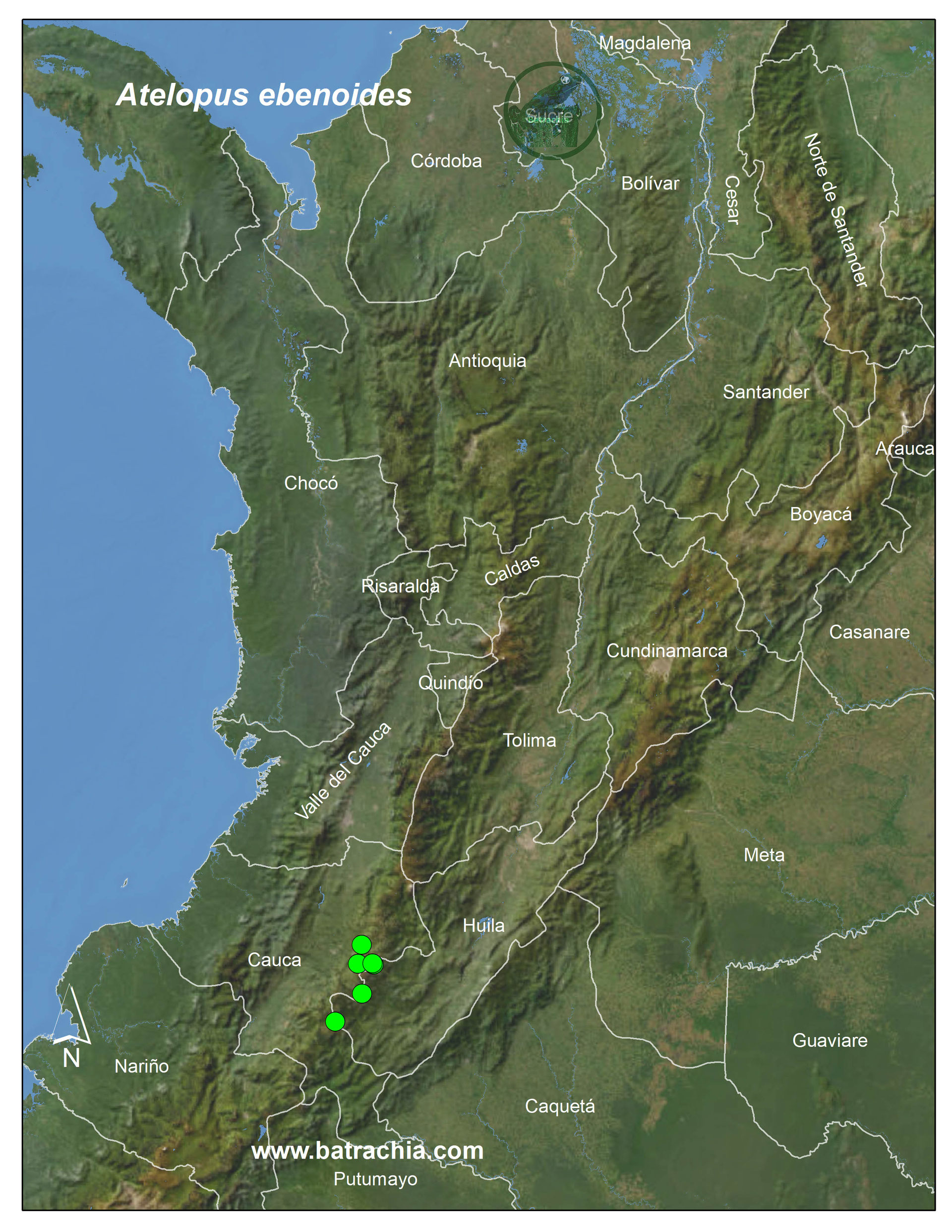 Atelopus ebenoides Lista de Los Anfibios de Colombia