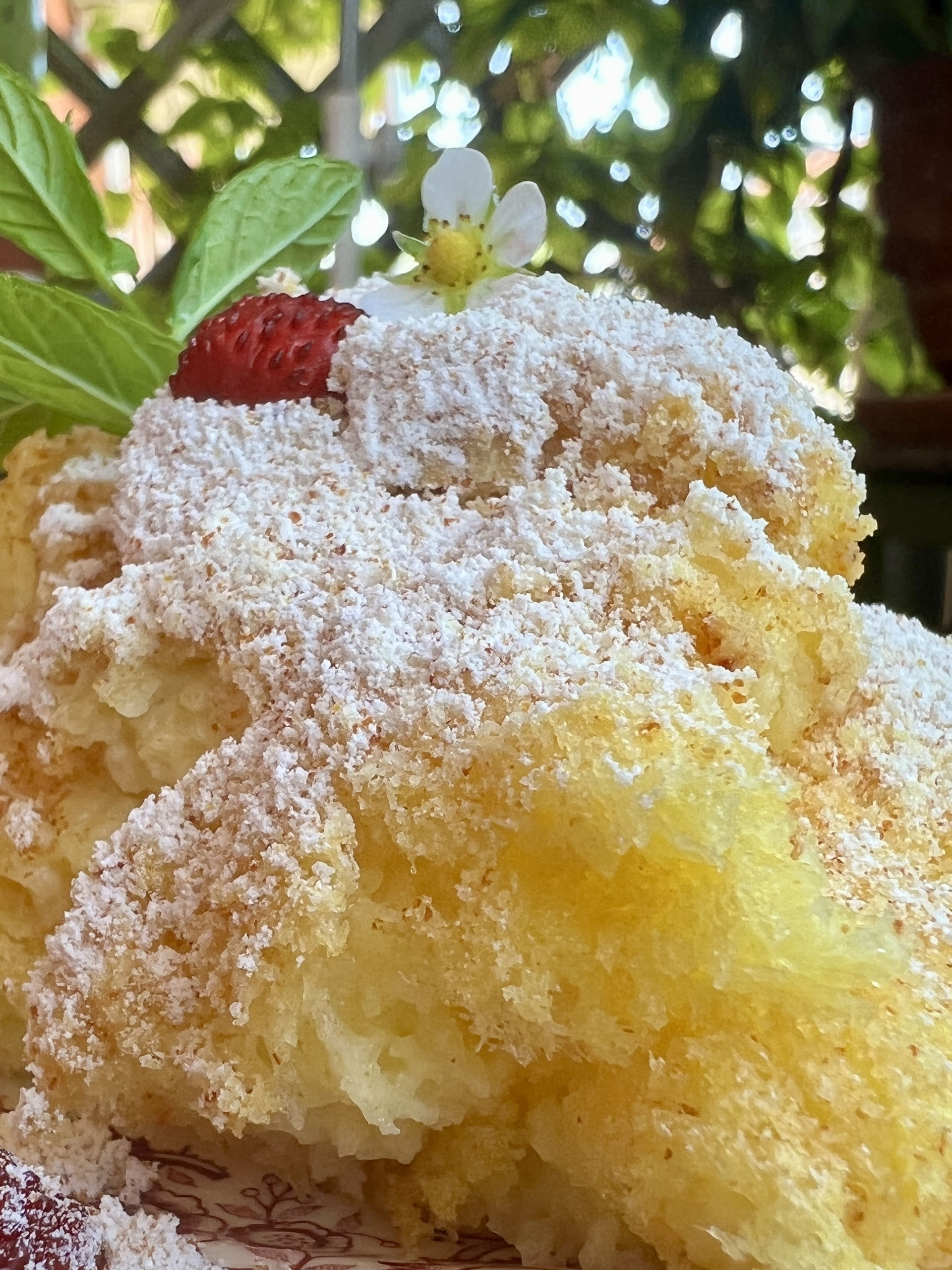 FoodTorialistic! - The FoodTorian