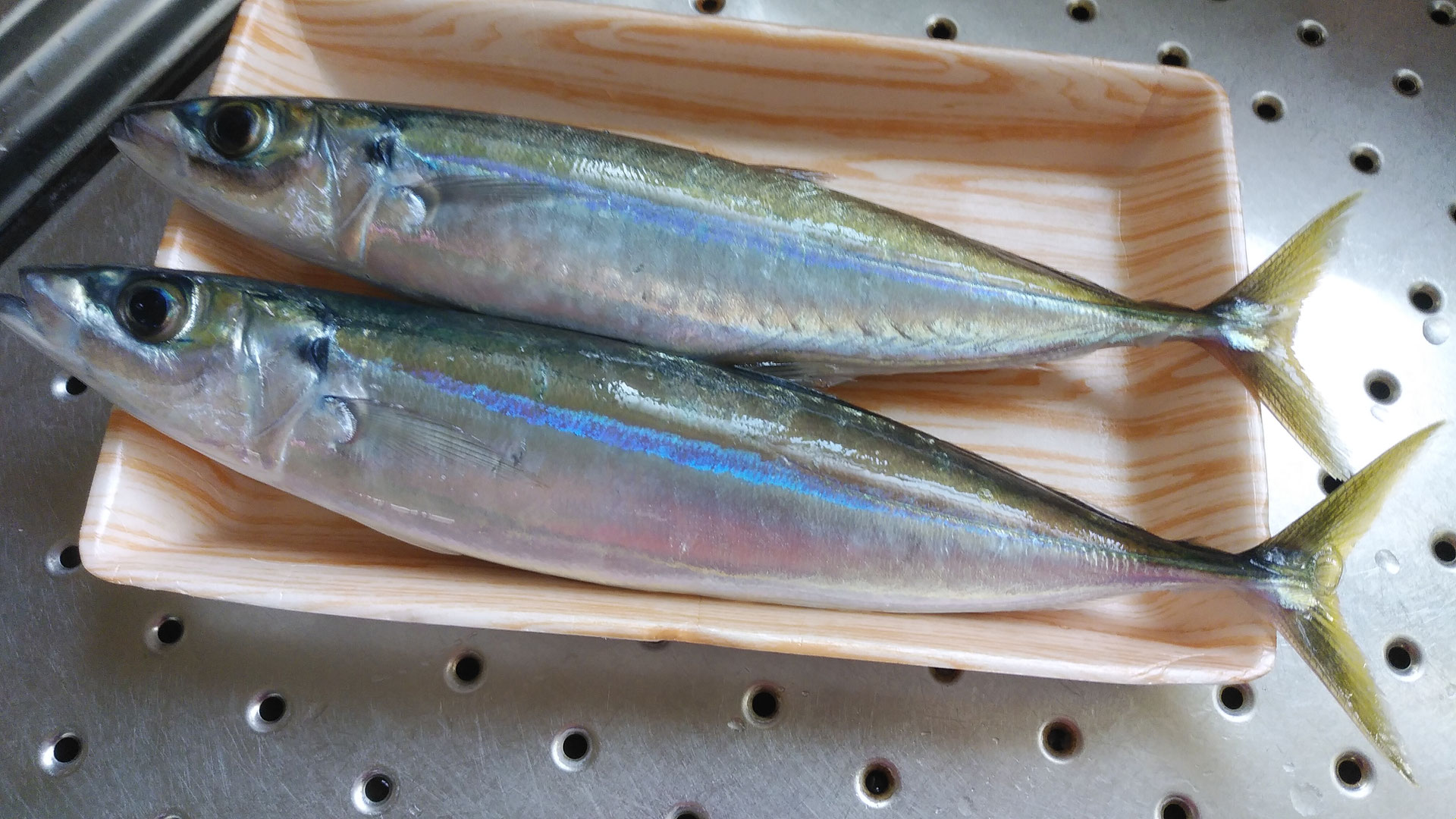 ムロアジ 八丈島民泊 和み家