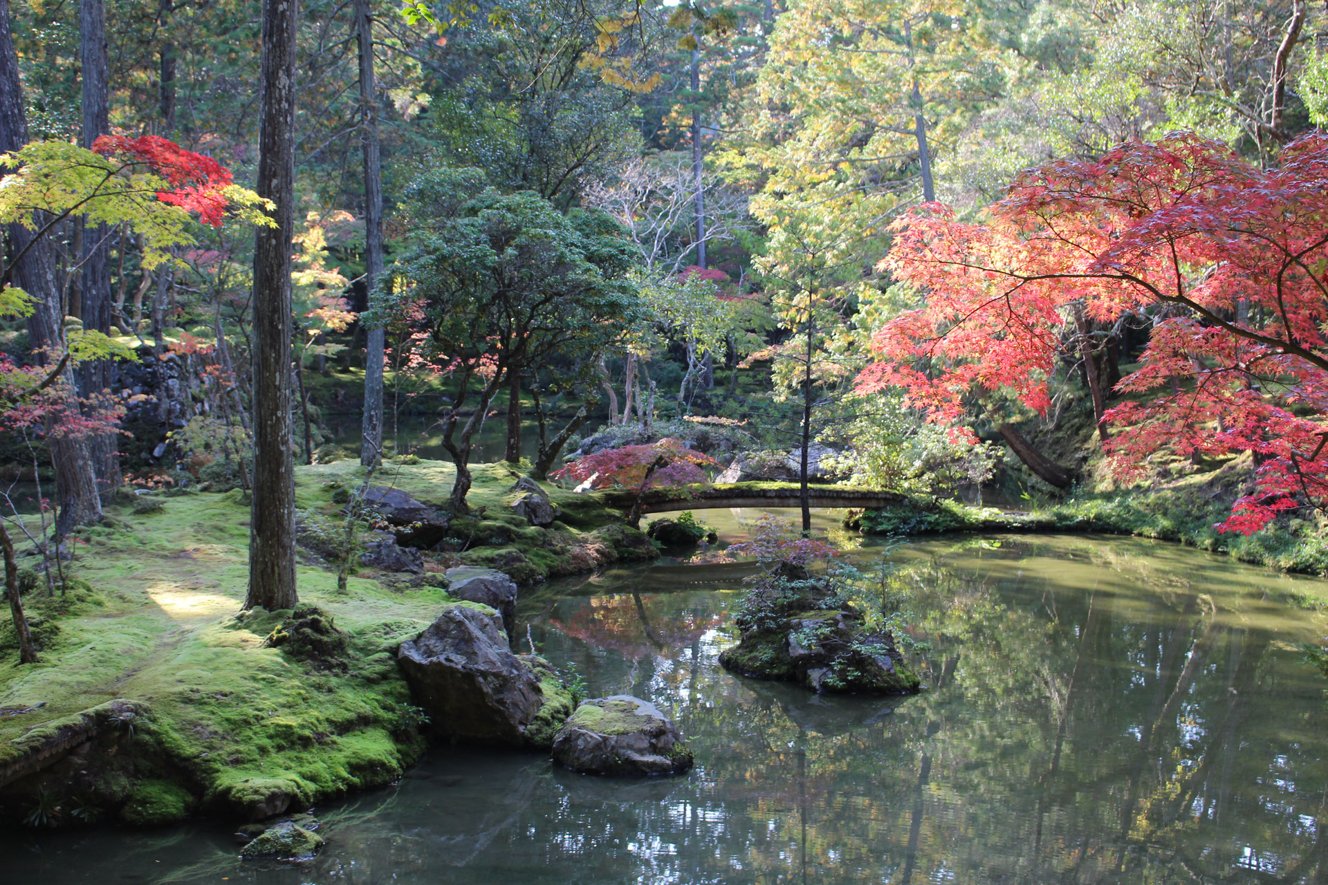 日本庭園の魅力 - abenteuer-japans Webseite!