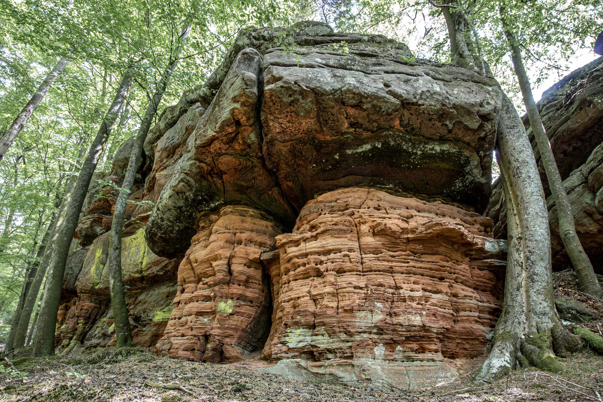 Lattenteichfelsen - Felsenheimat-Pfalz