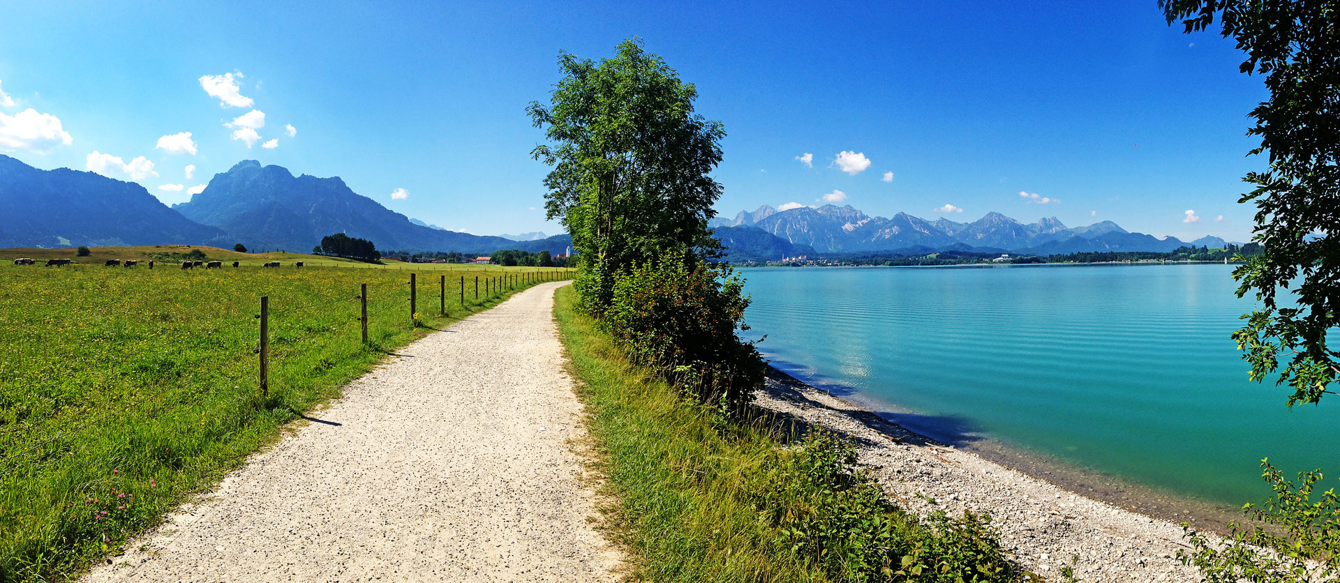 buchenberg alm fahrrad