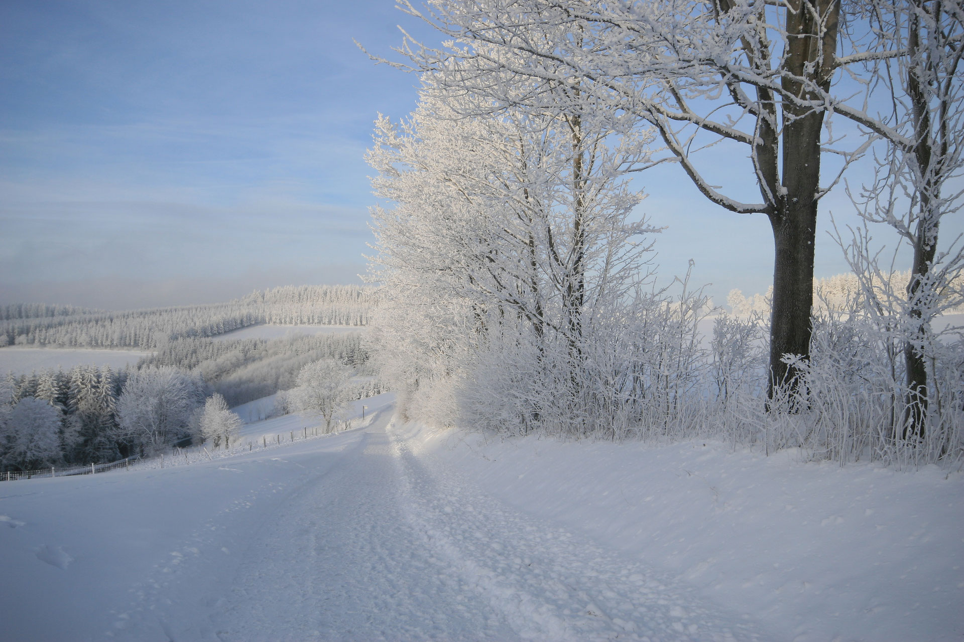 Weihnachten Sauerland 2022 / Winterberg NRW feiern HotelResort "Der