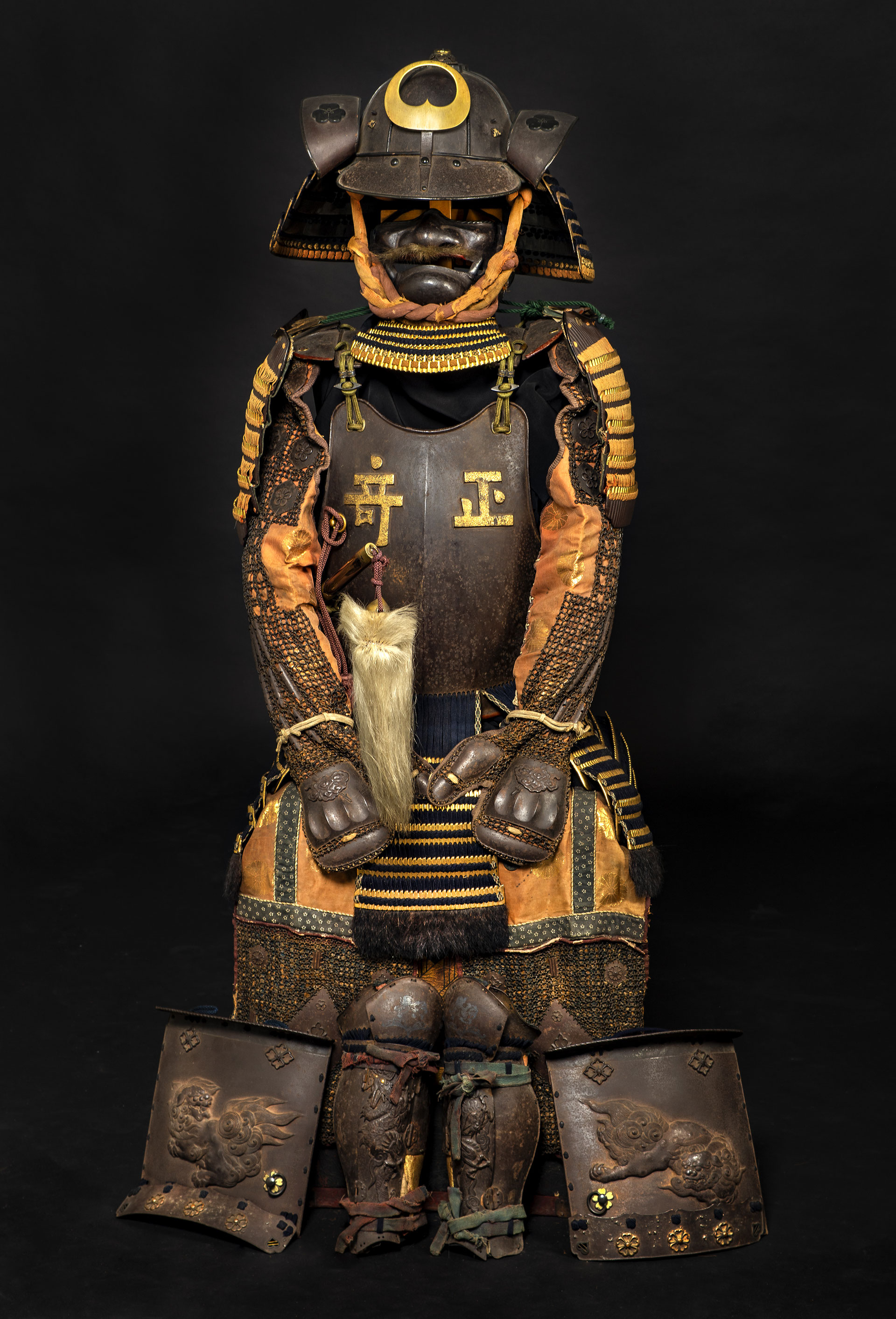 Yagona fotosurat Matvienkoning mushuki.