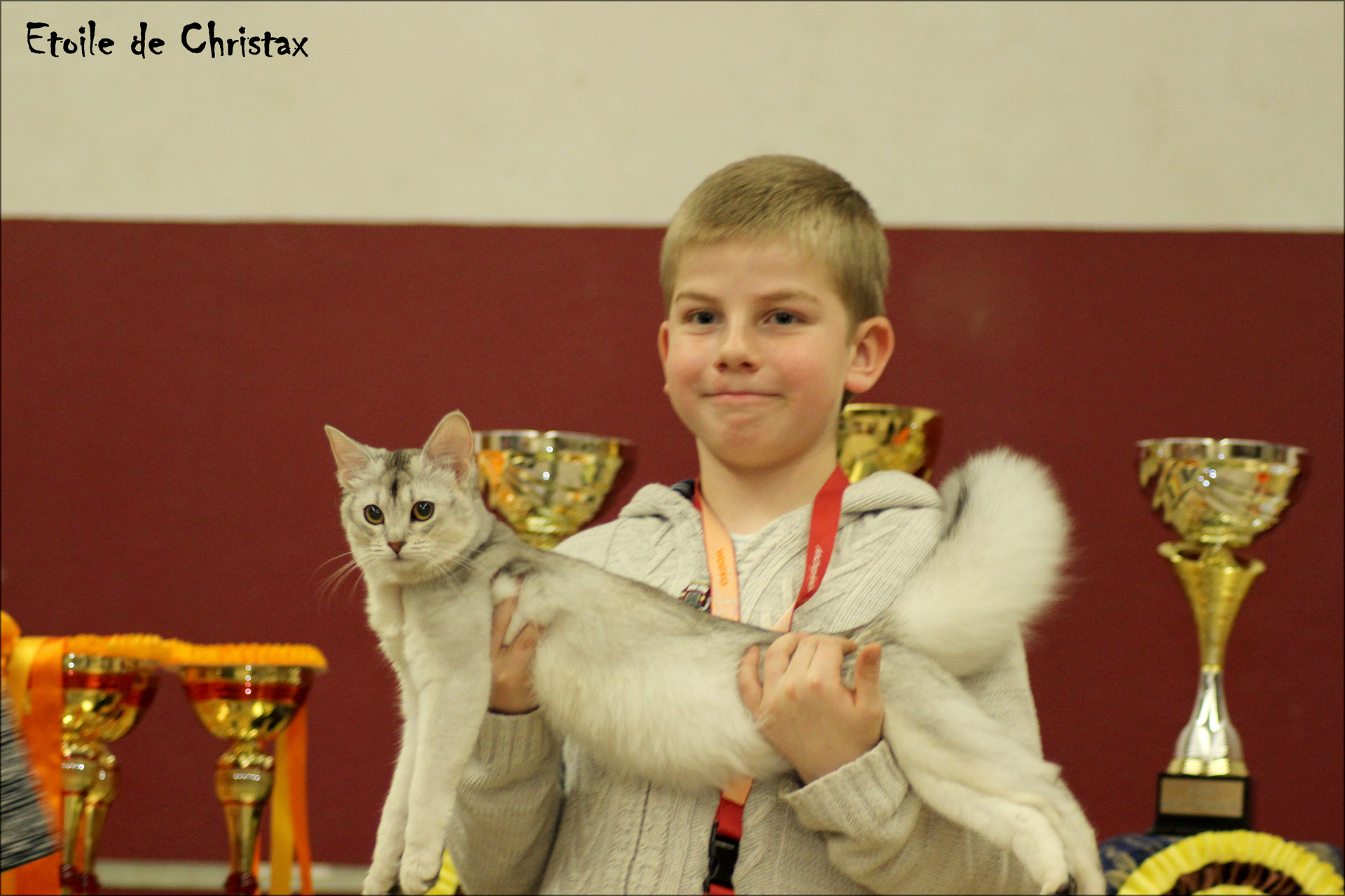 Expositions Et Sqr Somalis Et Abyssins En Gironde Expositions Et Sqr Somalis Et Abyssins En Gironde