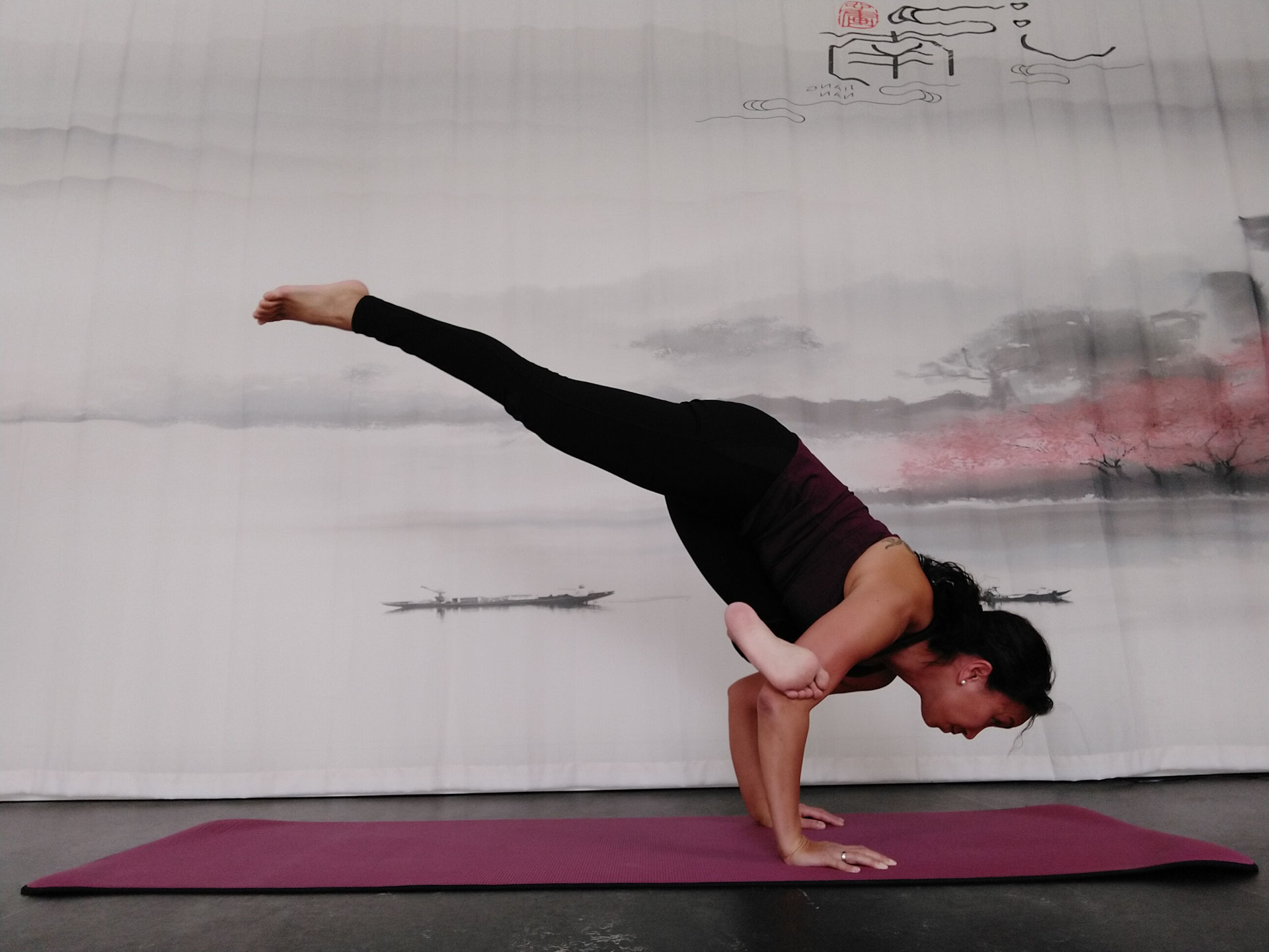 Die Welt des Yoga Yoga2day