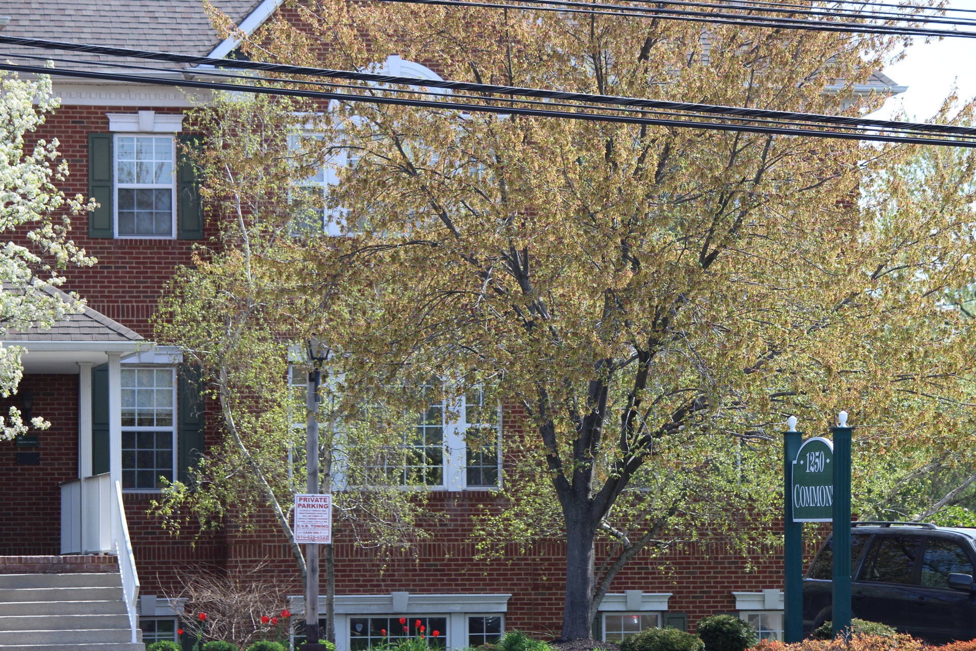 Danelle C. Fournier, DMD Family Dentistry Hours Danelle C. Fournier