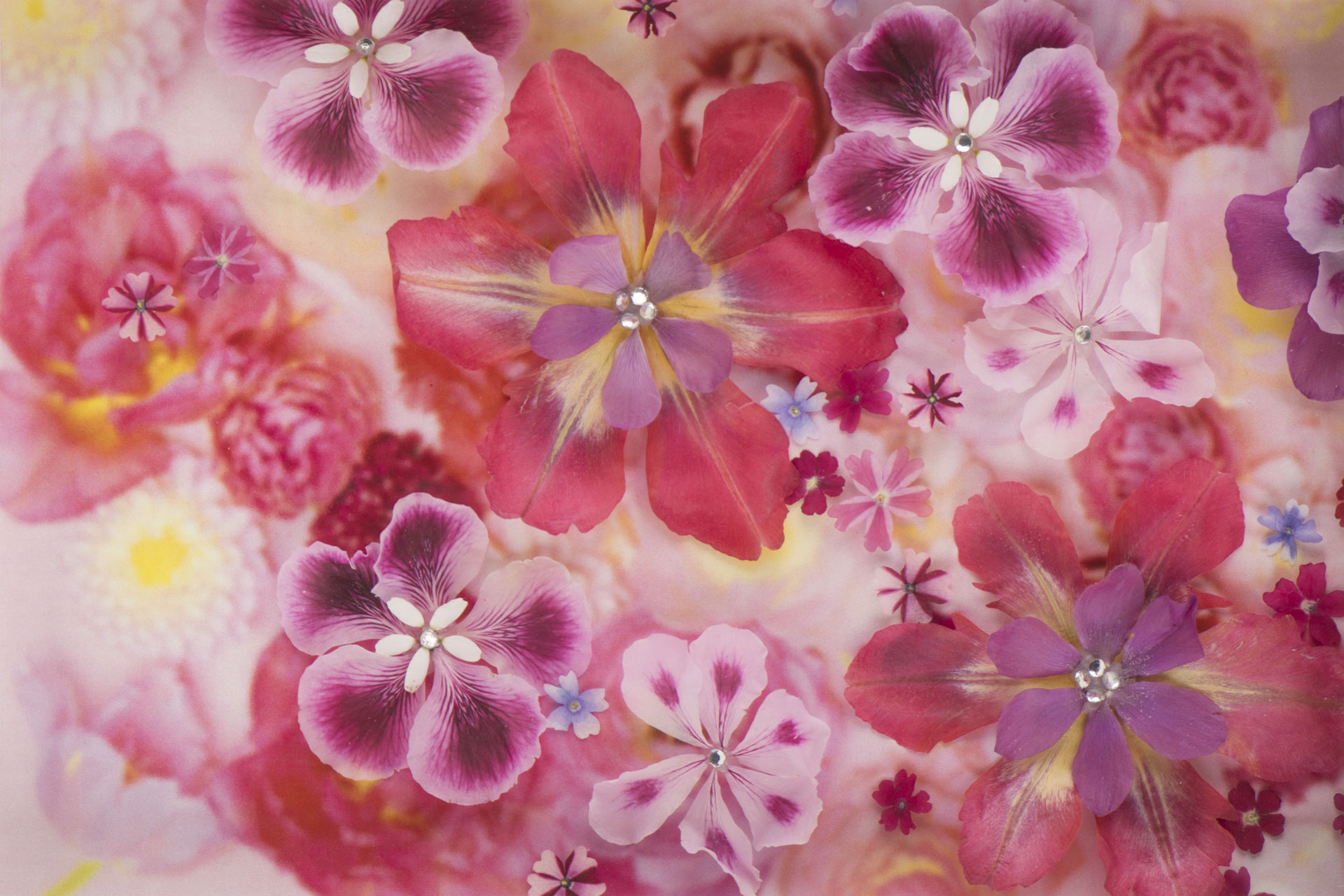 レカンフラワー レカンフラワー - 杉野宣雄の押し花アート
