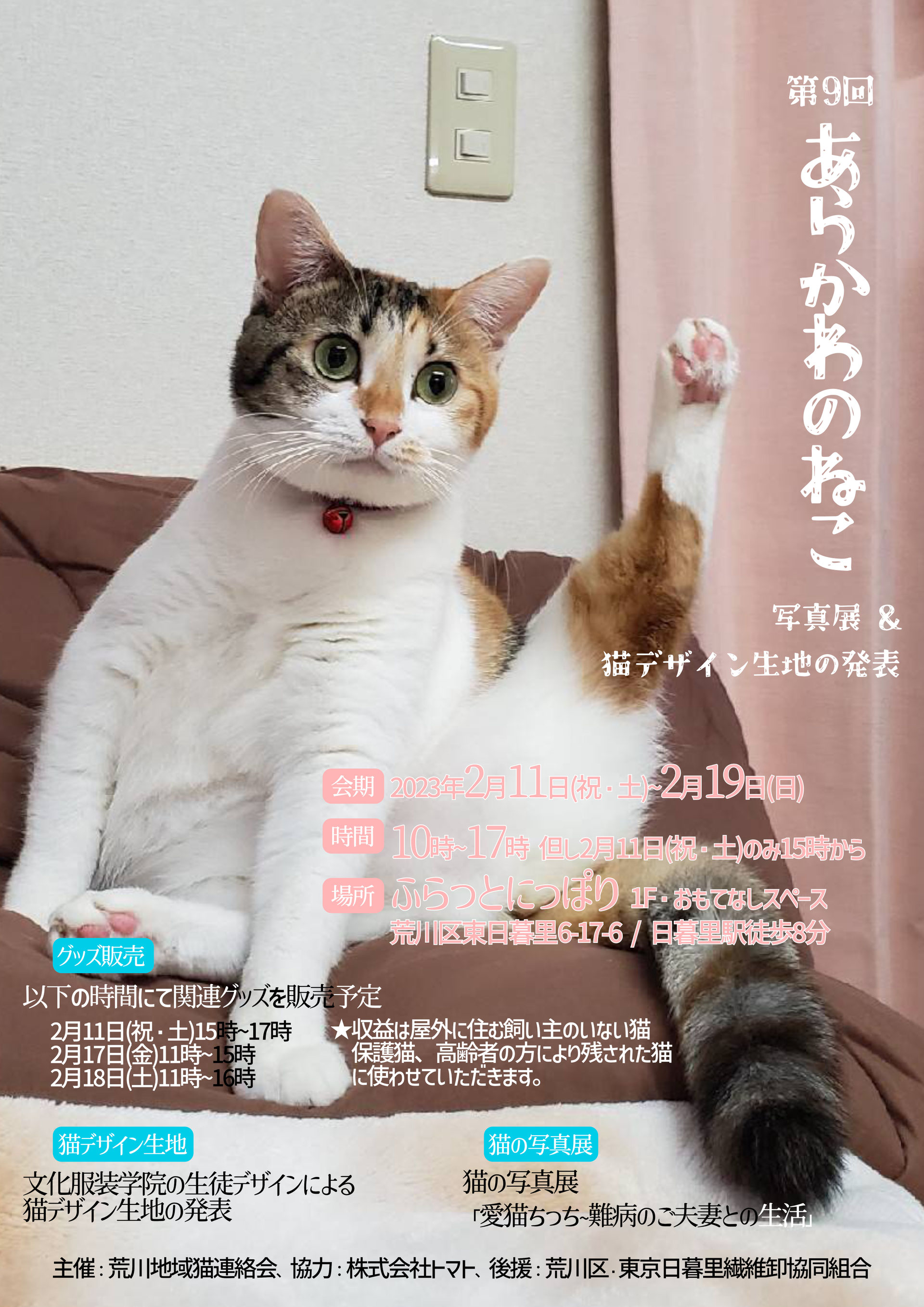 荒れ地のねこ フォアシュピール公式 on X: 