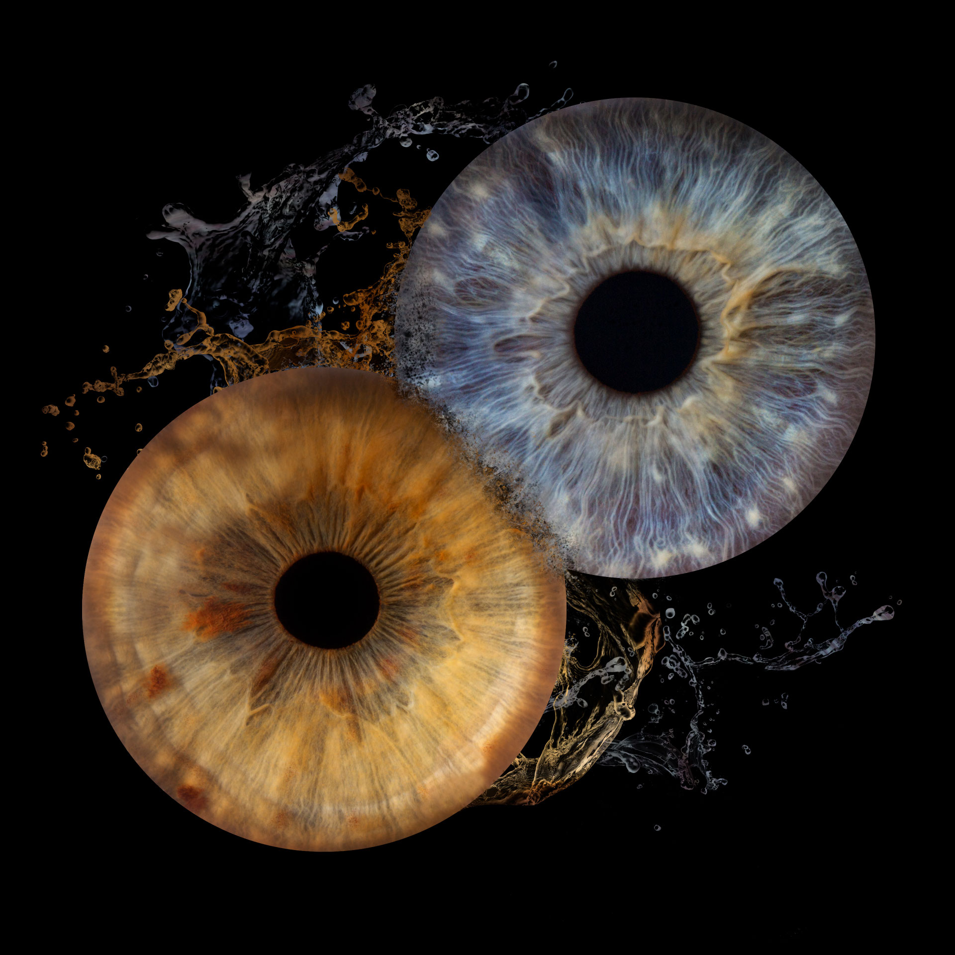 Iris tarifs Site de jmcliches