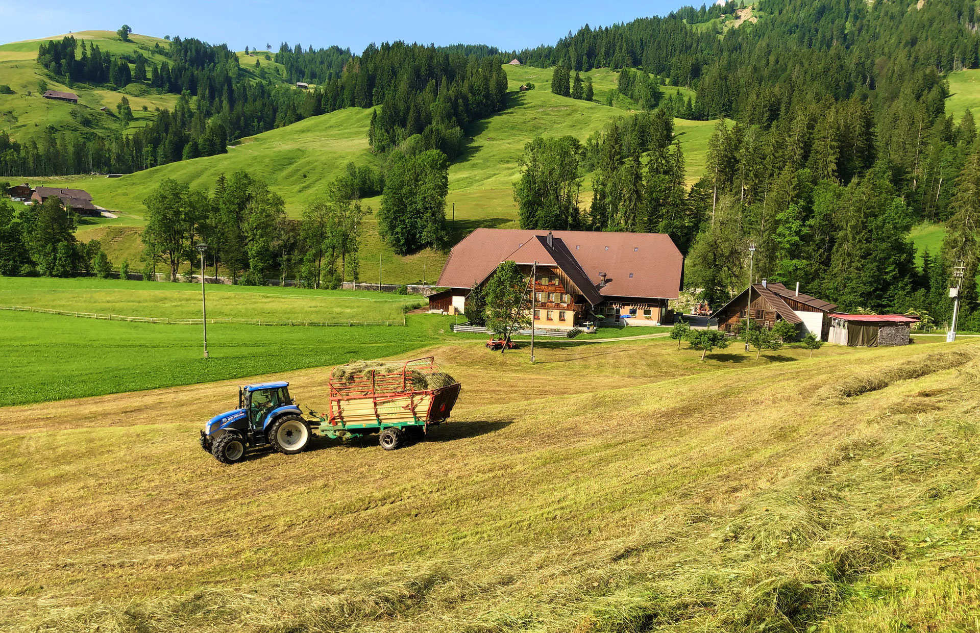 Schwand Schwand
