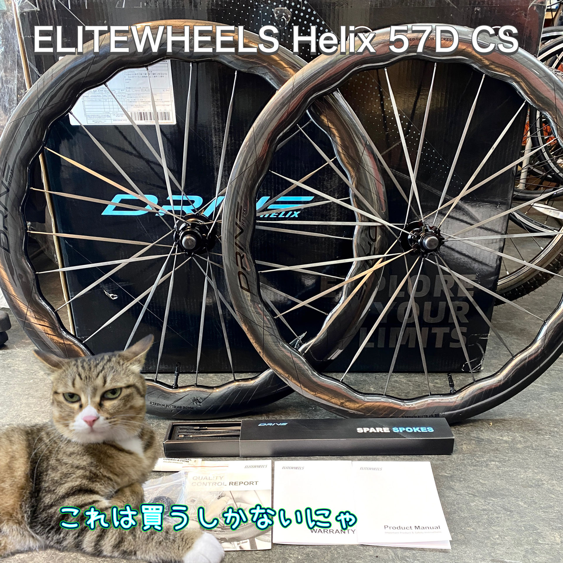 ELITEWHEELS(エリートホイール) - ロードバイクのレンタルならここ ELITEWHEELS(エリートホイール) - ロードバイクのレンタルならここ