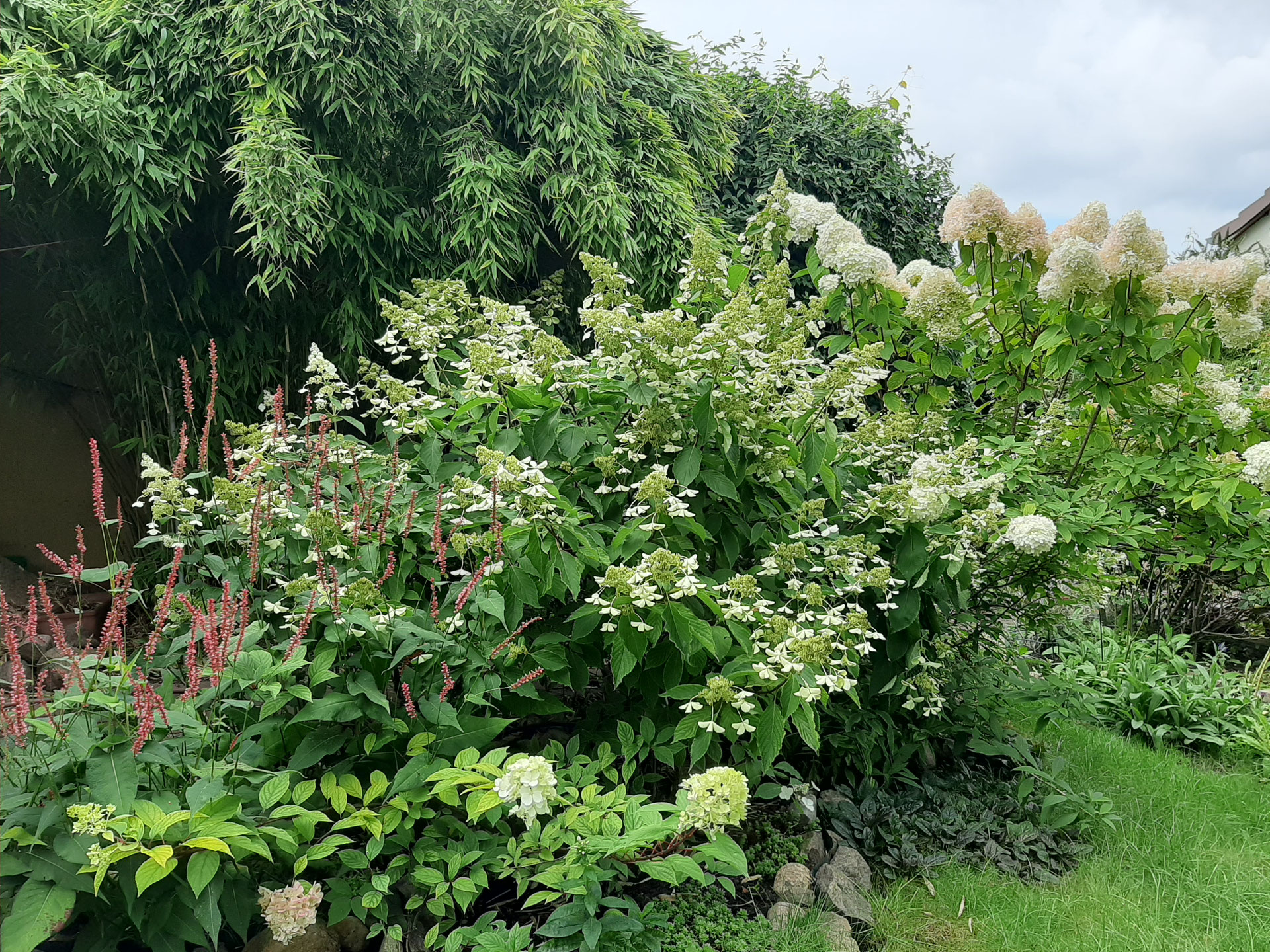 Offener Garten brigittefahrenhorsts Webseite!