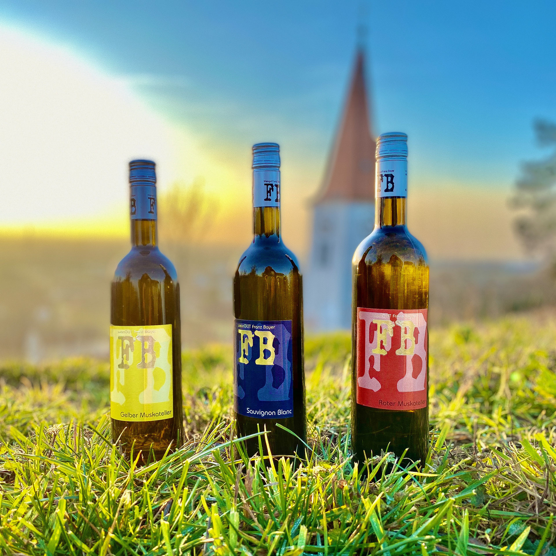 Weingut Franz Bayer Wagram - Weingut Franz Bayer Königsbrunn am Wagram