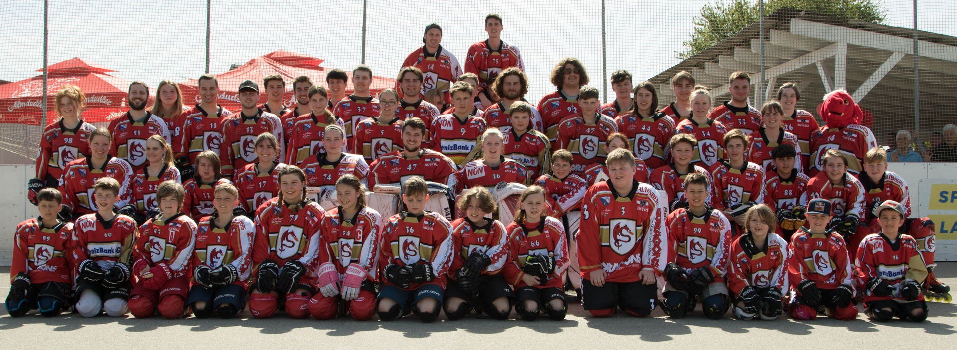 Red Dragons