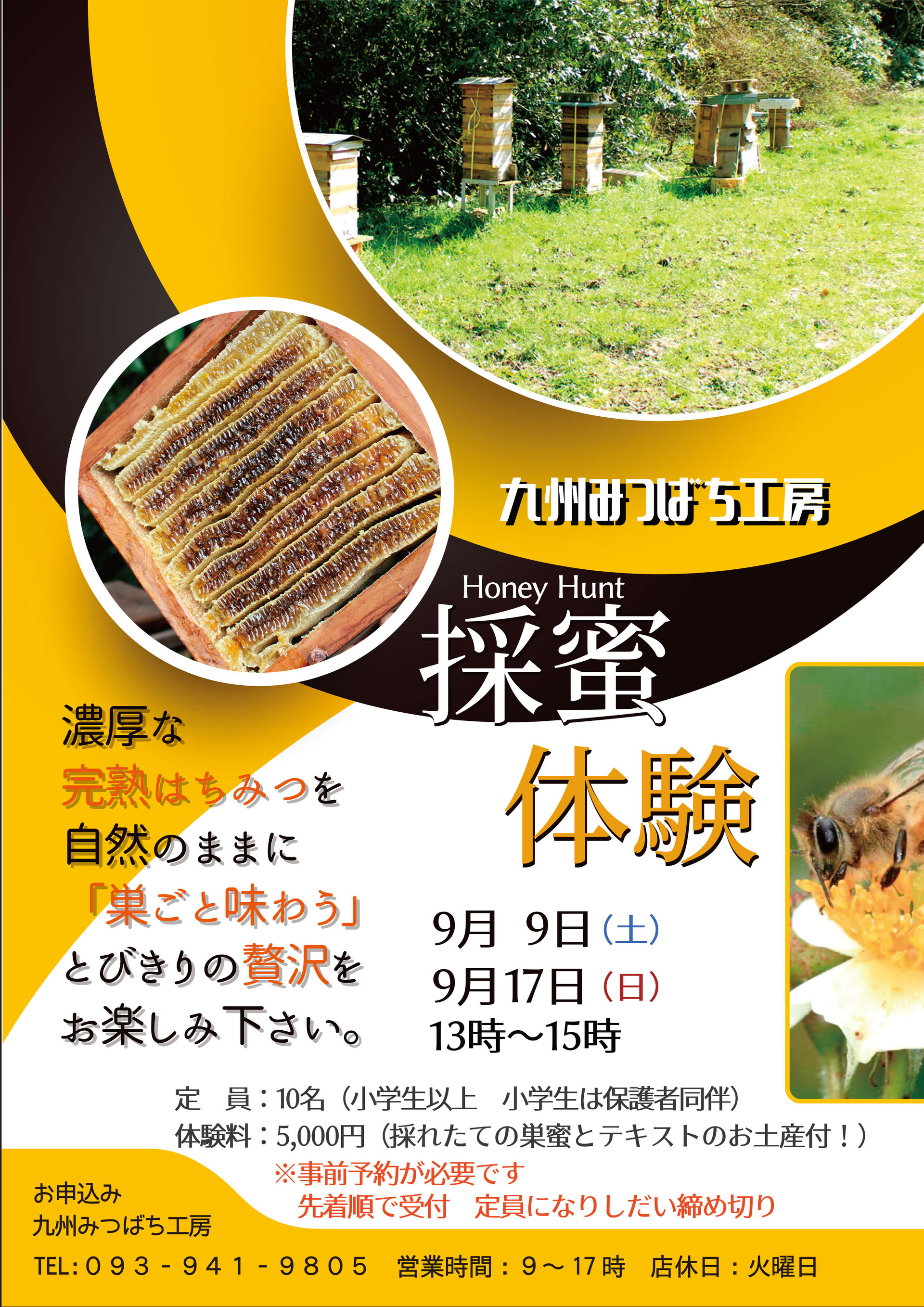 予約受付！日本ミツバチ、巣箱付き