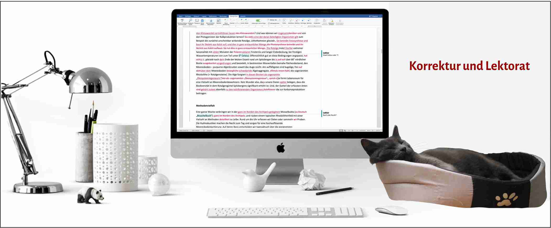 Text korrigieren lassen Textlabyrinth